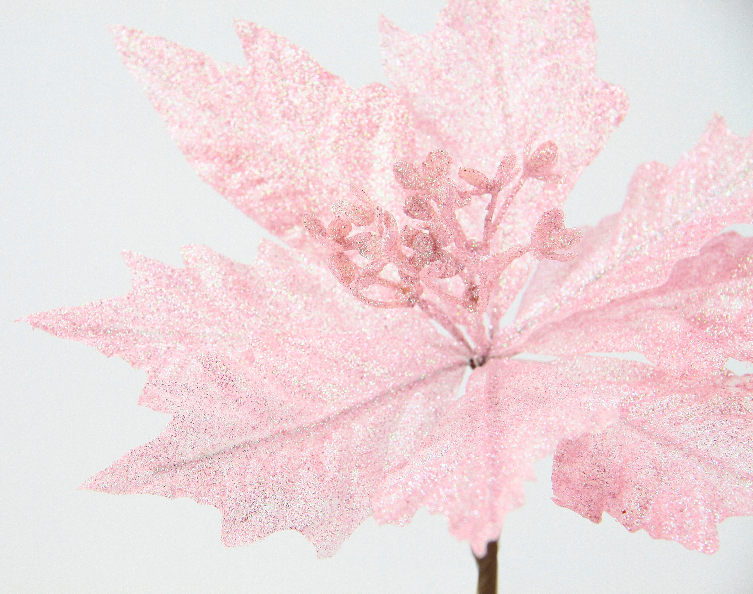 I.GE.A. Kunstblume »Poinsettia«, Kunstblume, Dekoblume, 5er Set