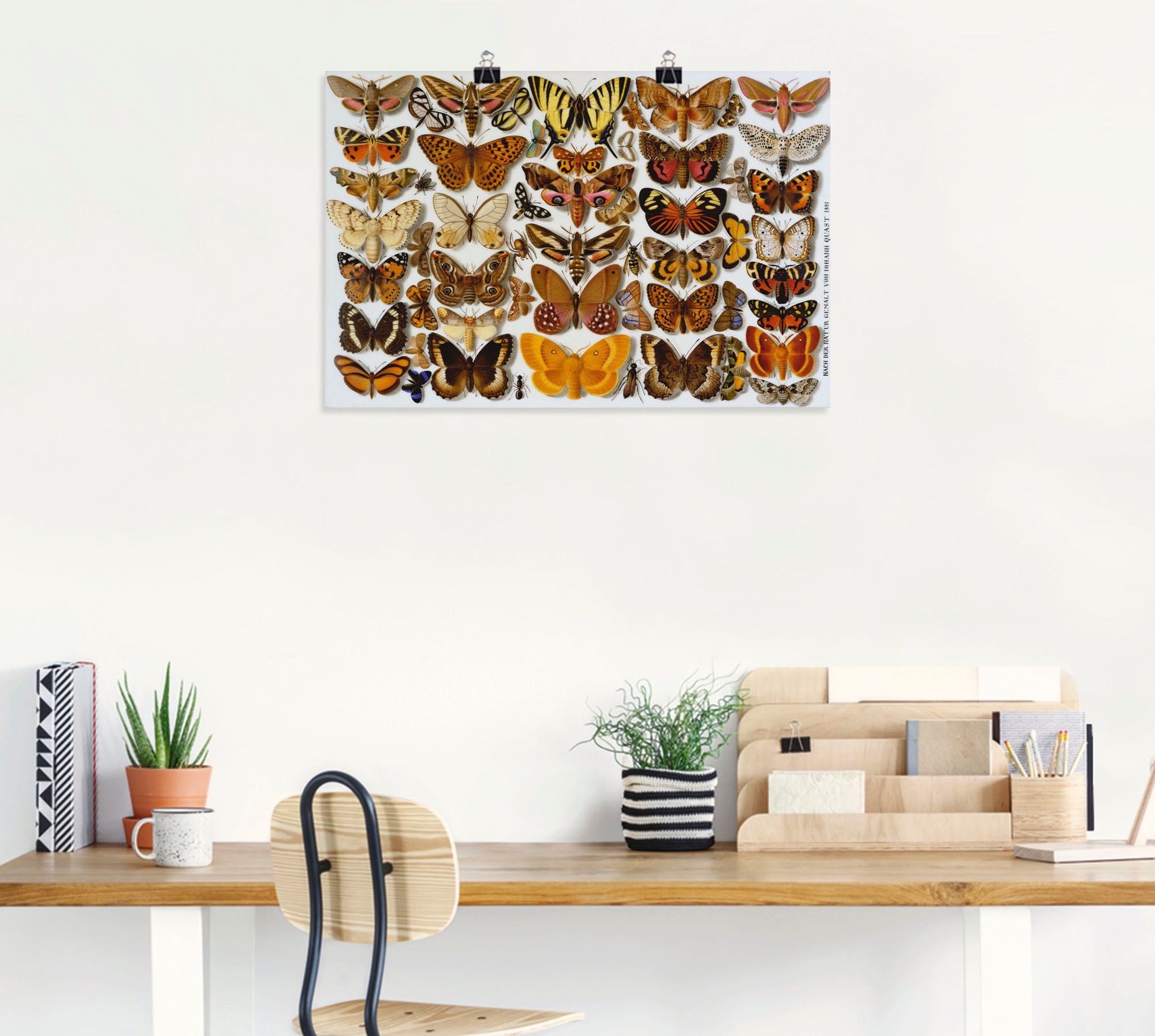 Artland Kunstdruck »Schmetterlinge. Porzellanmalerei. 1881«, Insekten, (1 St.), als Alubild, Leinwandbild, Wandaufkleber oder Poster in versch. Grössen