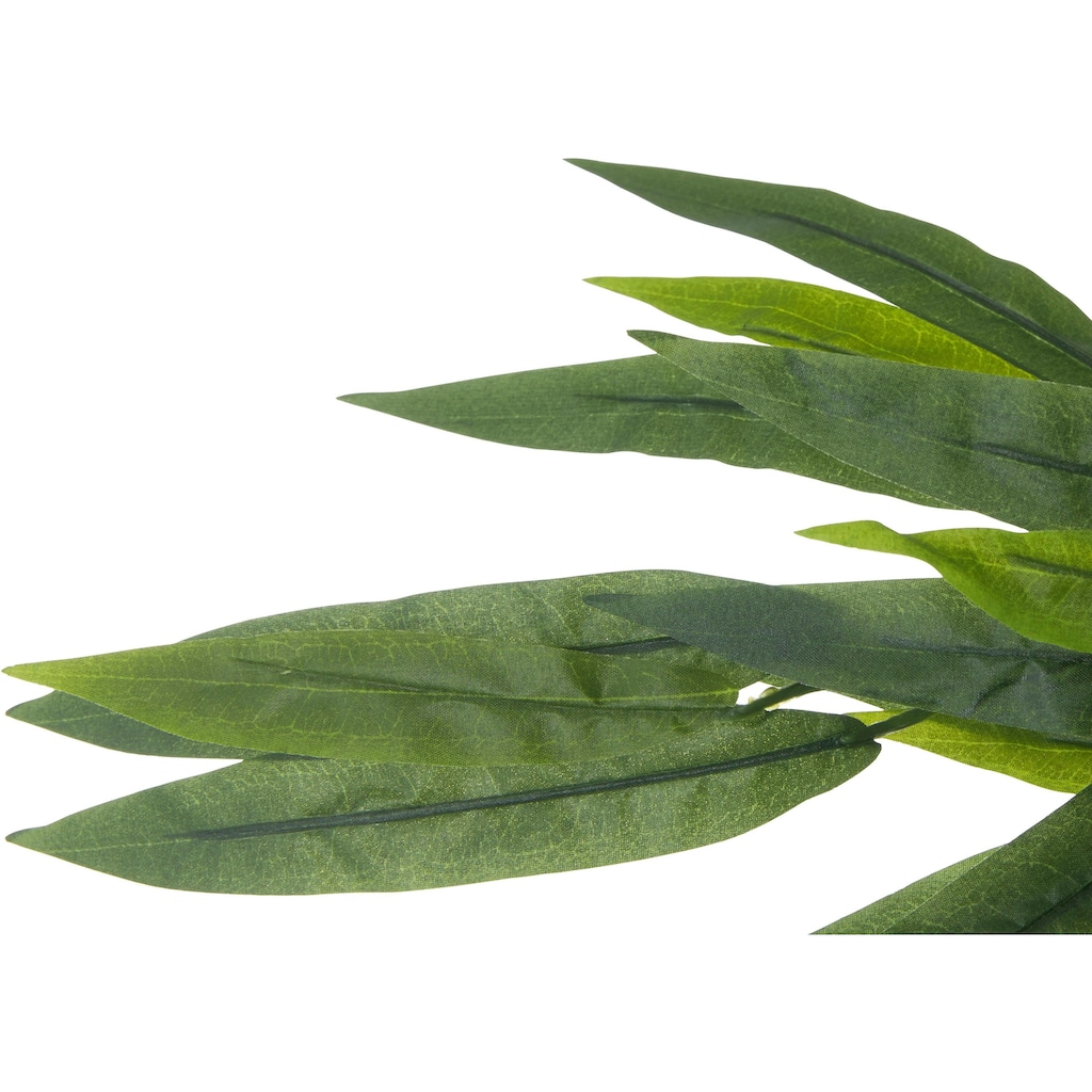 Creativ green Kunstpflanze »Weeping-Ficus«