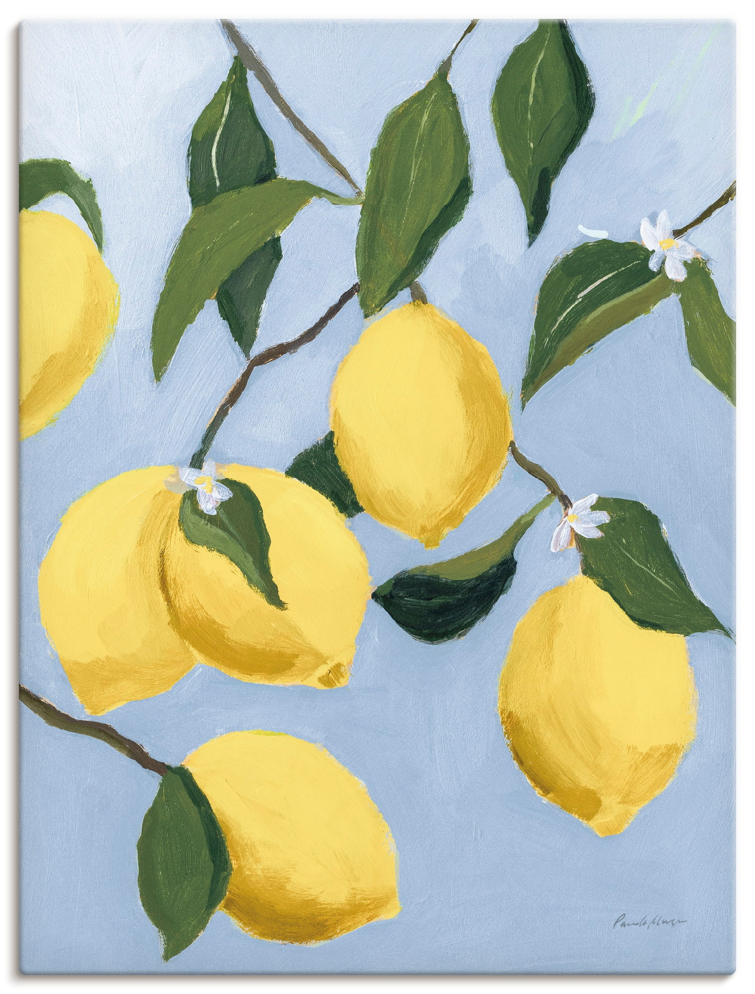 Image of Artland Wandbild "Lemon Tree Light" Pflanzenbilder 1 Stk. tlg. als Alubild, Leinwandbild, Poster, Wandaufkleber in verschied. Grössen