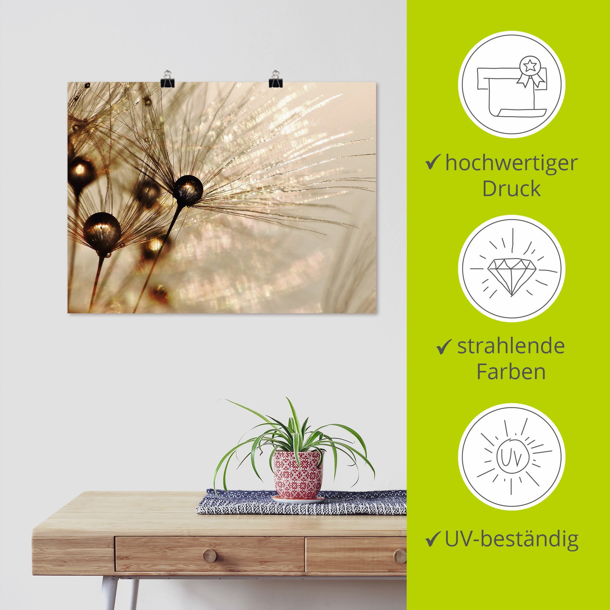 Artland Wandbild »Pusteblume Goldener Tropfen« Blumen 1 Stk. tlg. als Alubild, Leinwandbild, Poster in verschied. Grössen