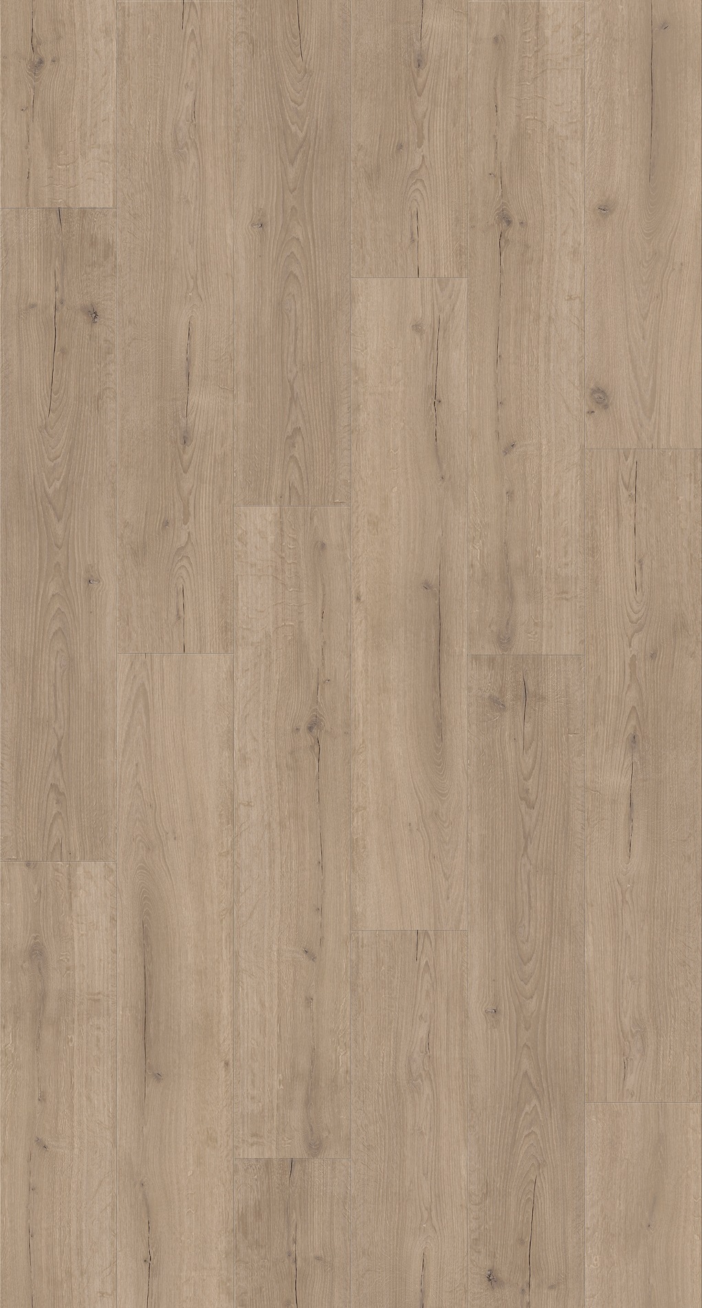 Image of PARADOR Vinylboden »Basic 30 - Eiche Infinity Grau«, 121,5 x 21,6 x 0,84 cm, 1,8 m² bei Ackermann Versand Schweiz