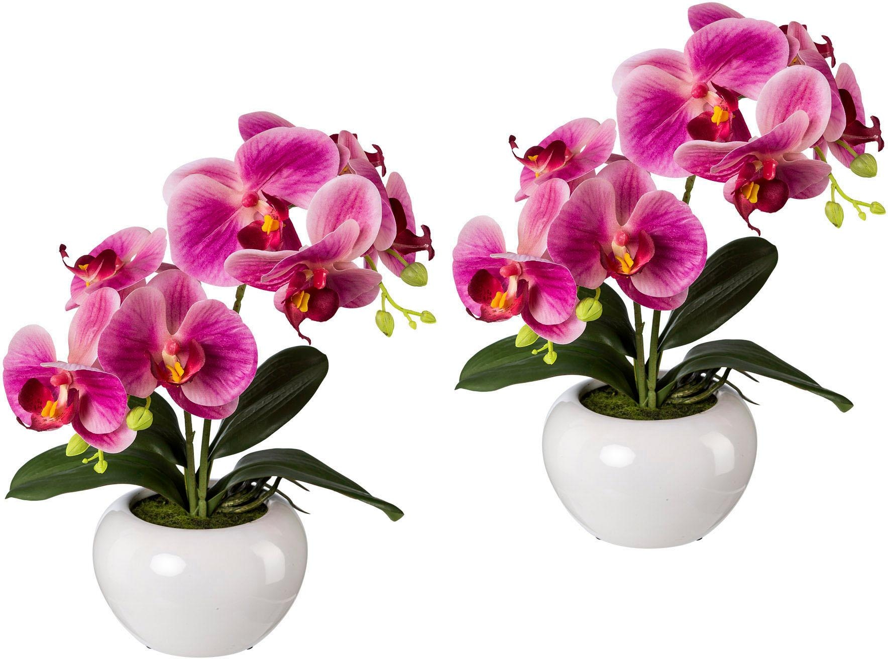 Image of Creativ green Kunstpflanze, (2 St.), 2er Set bei Ackermann Versand Schweiz