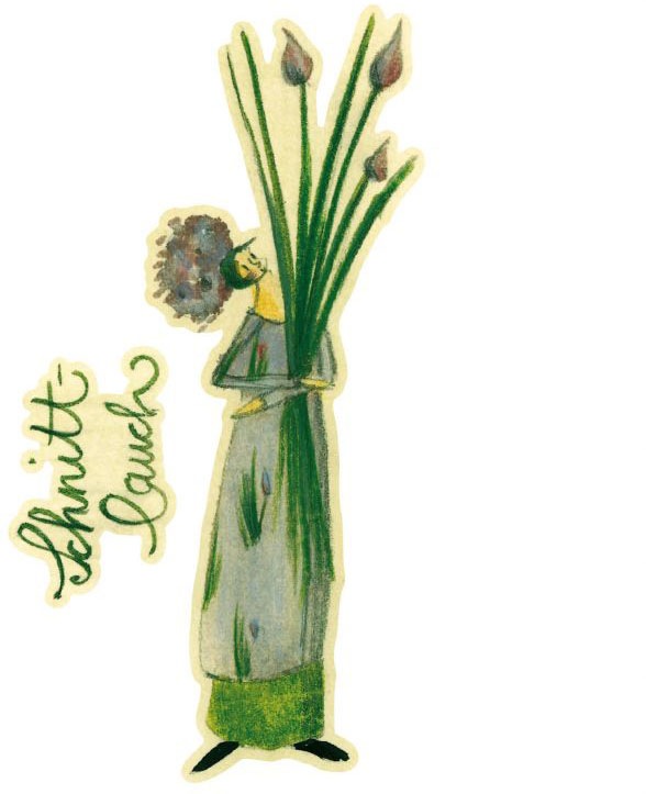 Image of Wall-Art Wandtattoo »Kräuter Küche Schnittlauch Grün«, (1 St.) bei Ackermann Versand Schweiz