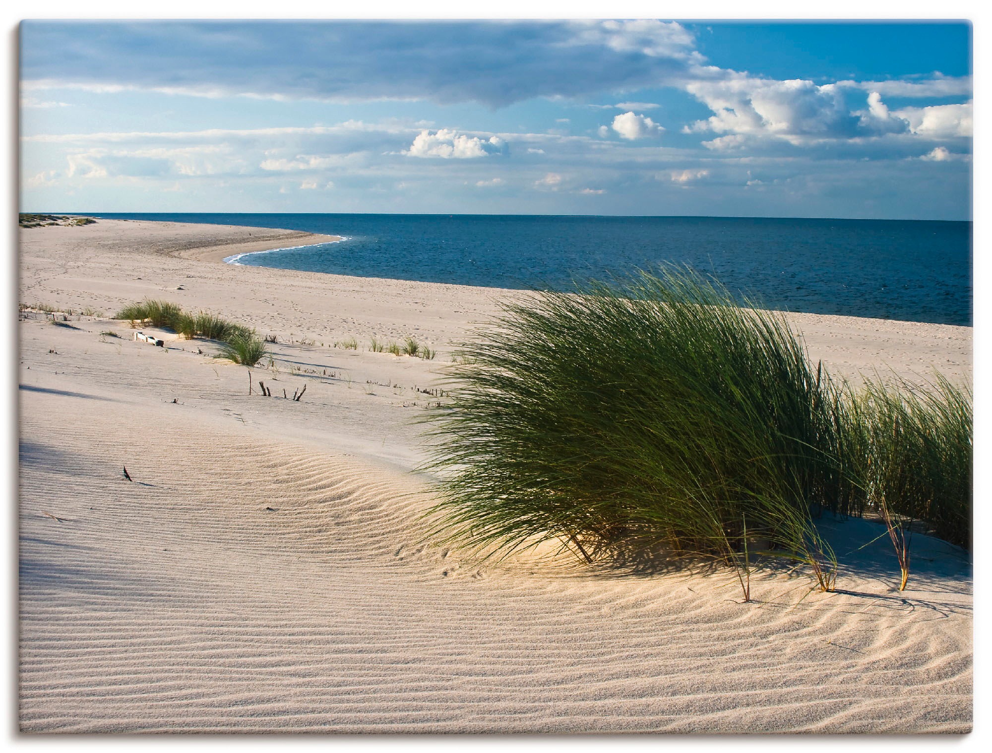 Image of Artland Leinwandbild "Gras am Strand" Strand 1 Stk. tlg. auf Holzrahmen gespannt