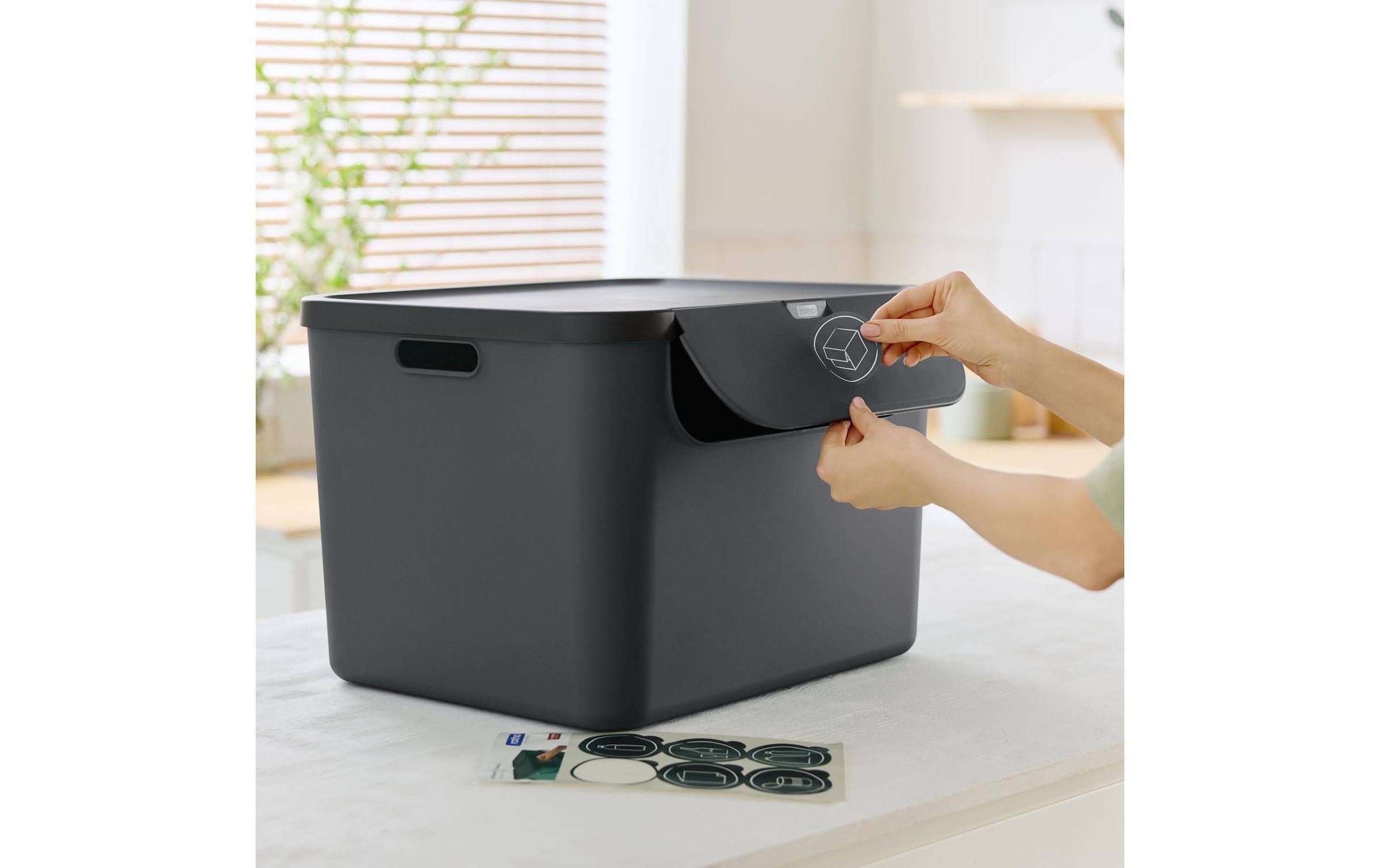 ROTHO Mülleimer »Rotho Recyclingsystem 55 l, Albula « 1 Behälter
