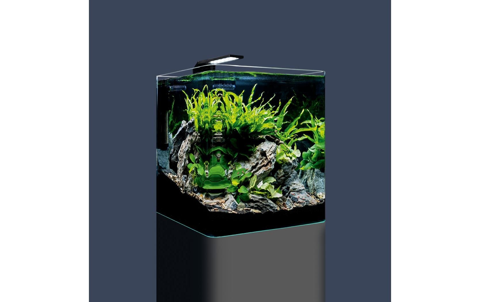 DENNERLE Aquarium »Nano Cube Basic, 30 l«