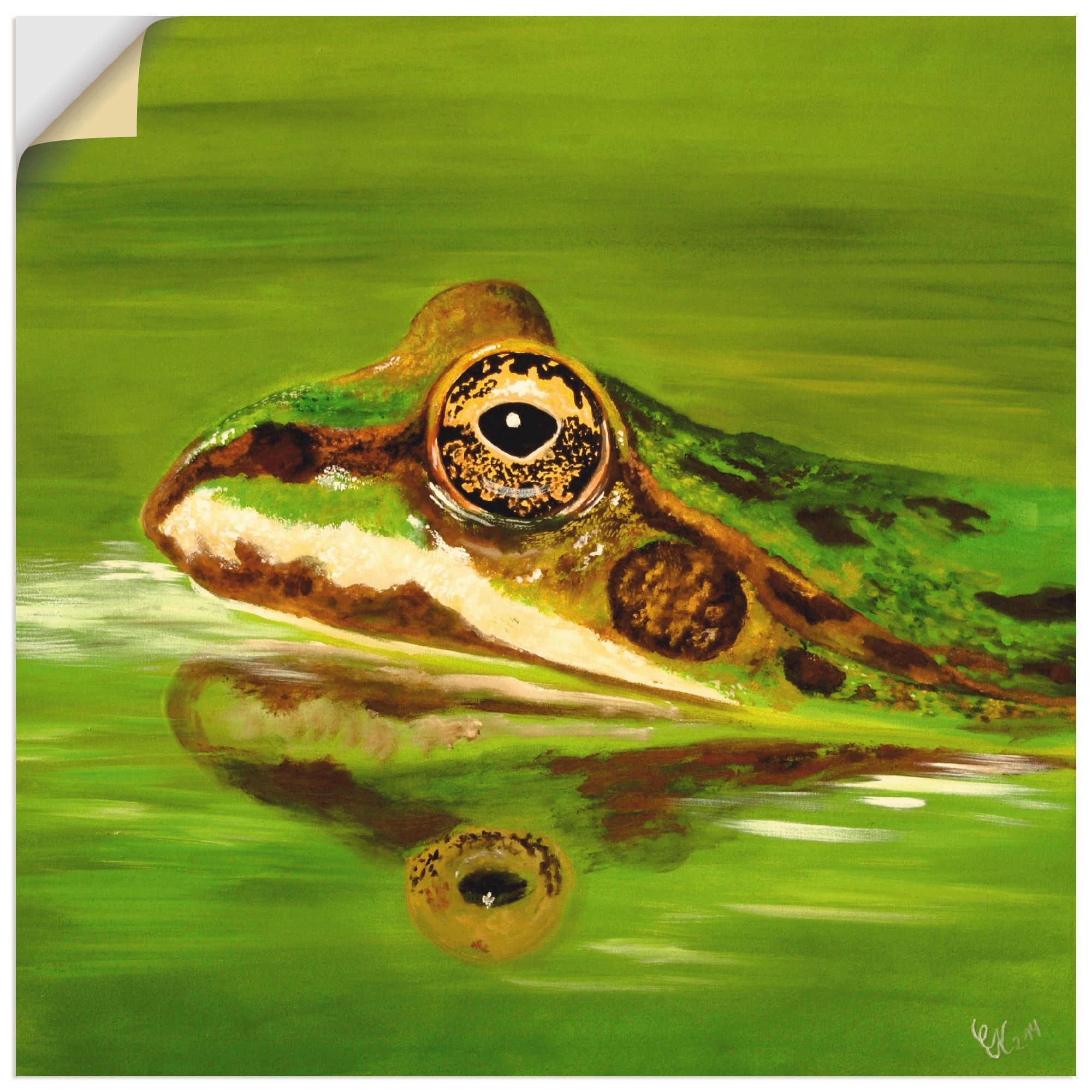 Image of Artland Wandbild »Krötengrün«, Wildtiere, (1 St.), in vielen Grössen & Produktarten - Alubild / Outdoorbild für den Aussenbereich, Leinwandbild, Poster, Wandaufkleber / Wandtattoo auch für Badezimmer geeignet bei Ackermann Versand Schweiz