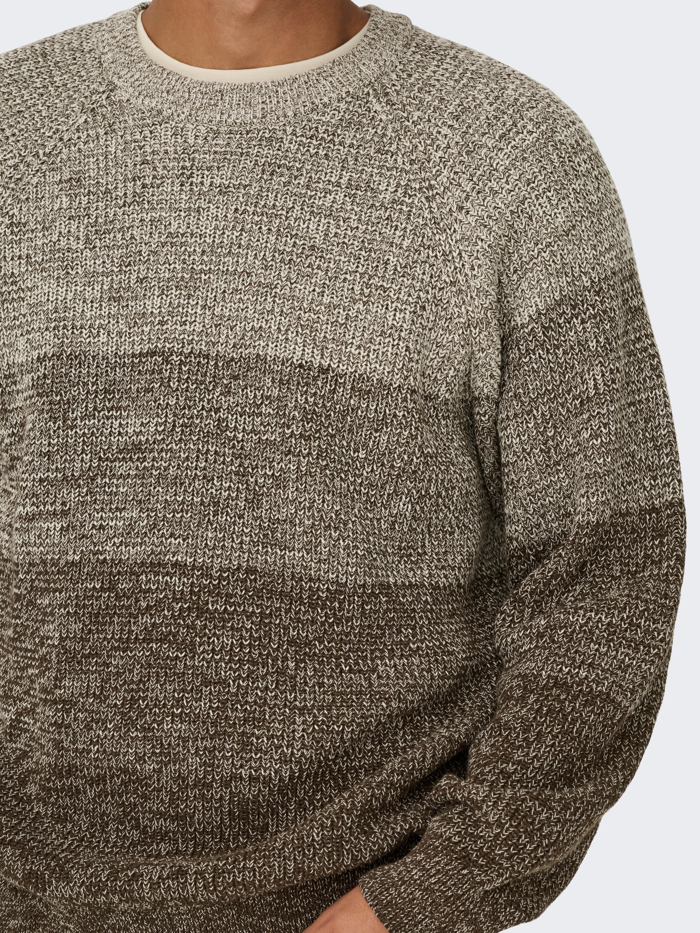 ONLY & SONS Pull à col rond »ONSBIRK RLX LS RAGLAN KNIT CAMP«