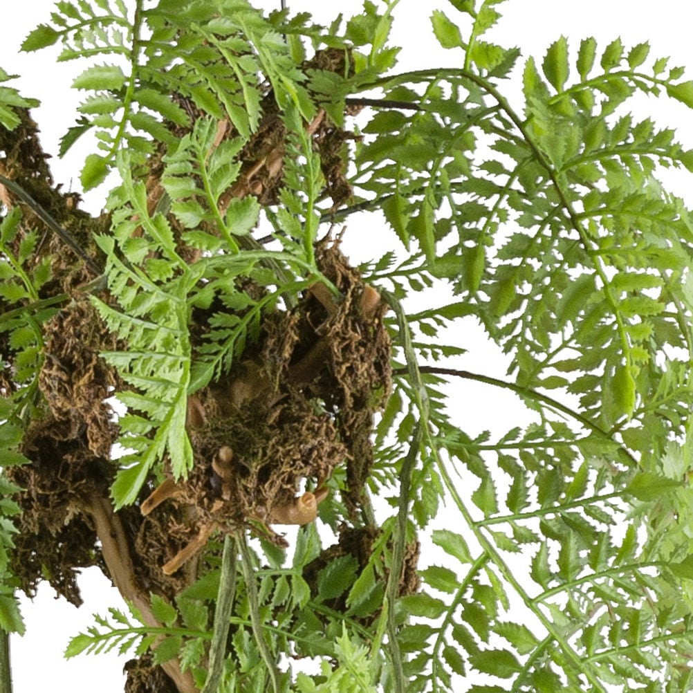 Creativ green Kunstpflanze »Farn Hänger« mit feinem Blattwerk