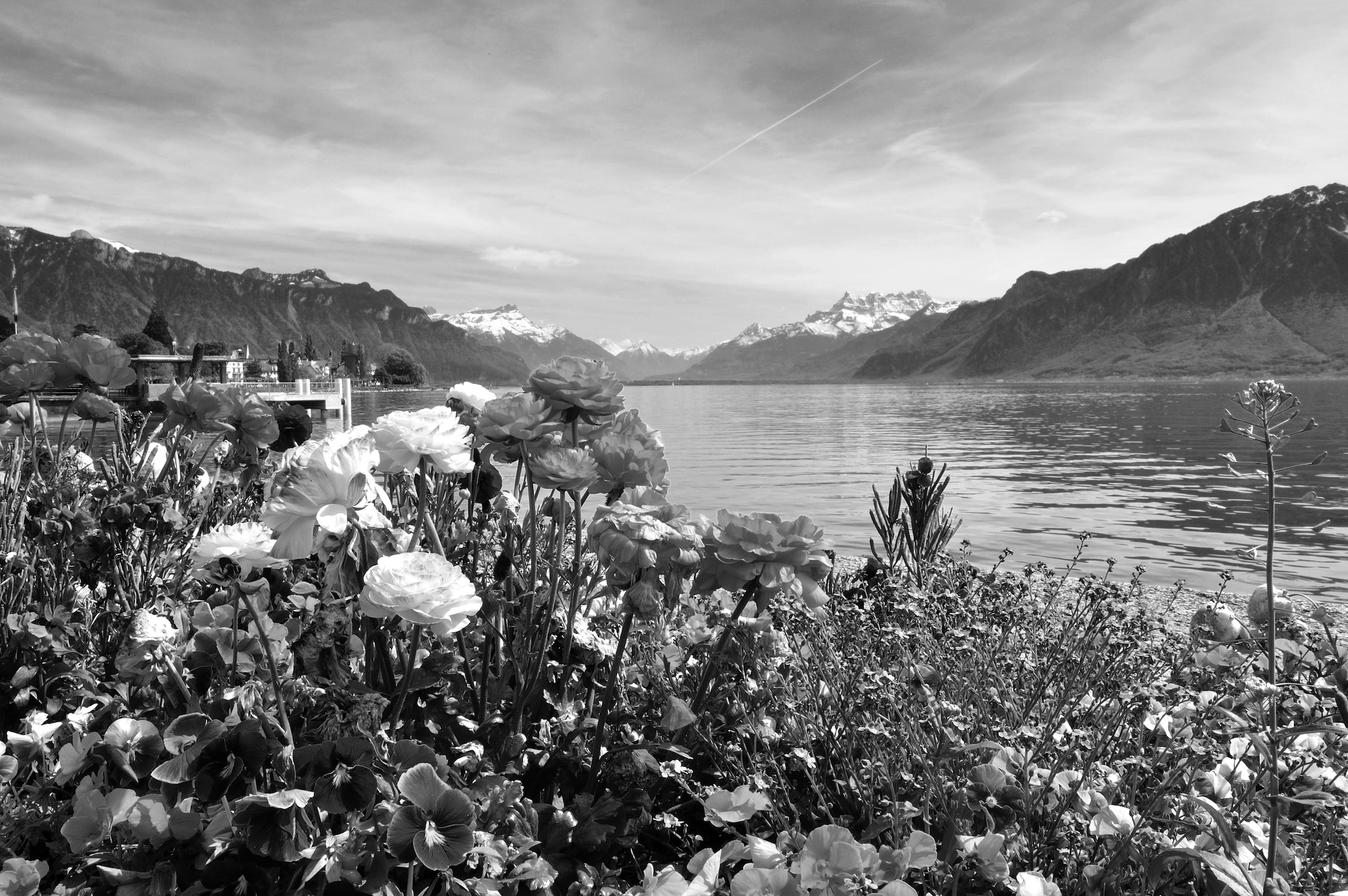 Image of Papermoon Fototapete "Landschaft Schwarz & Weiss"