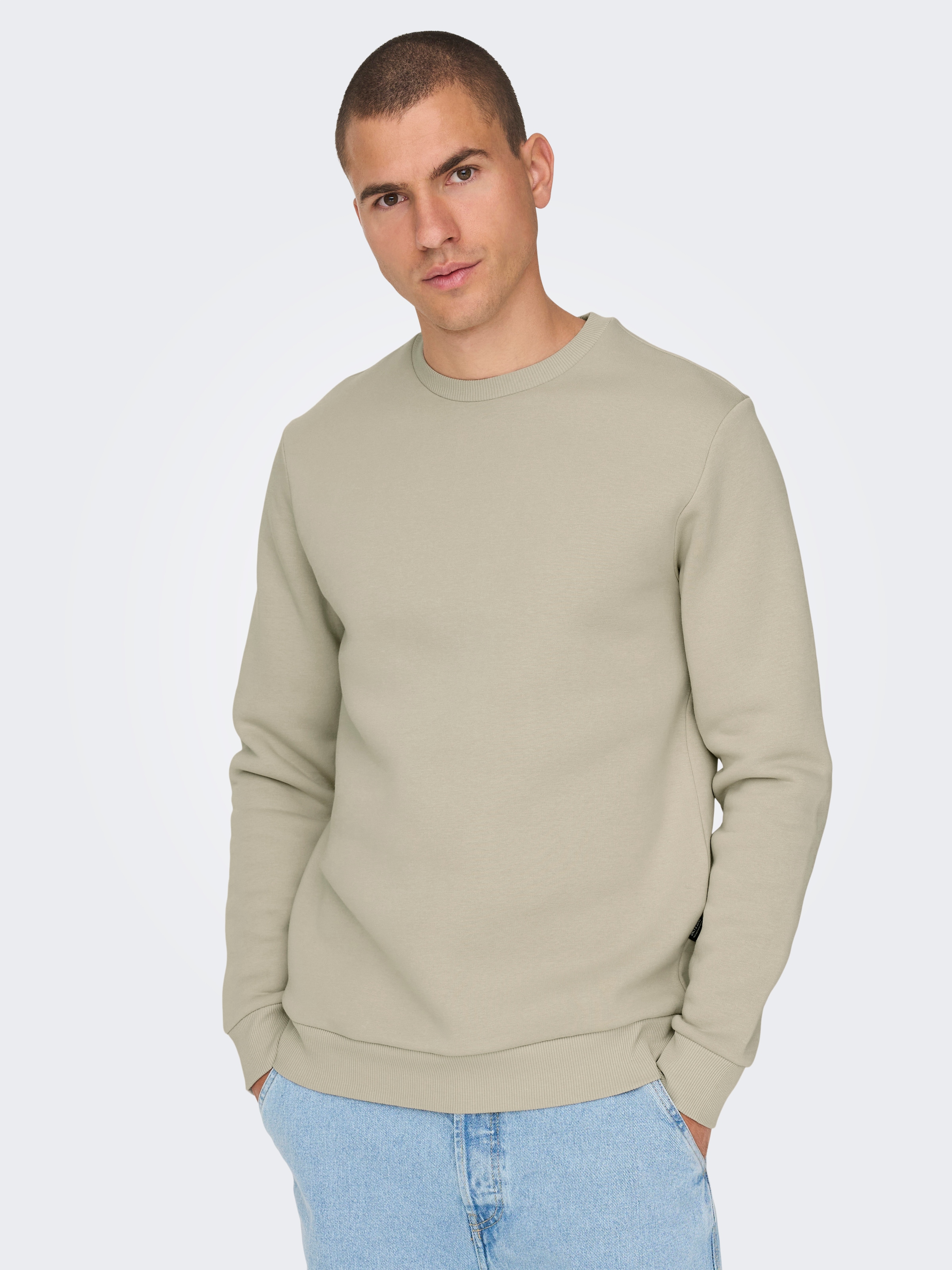 ONLY & SONS Sweatshirt »ONSCERES CREW NECK NOOS«