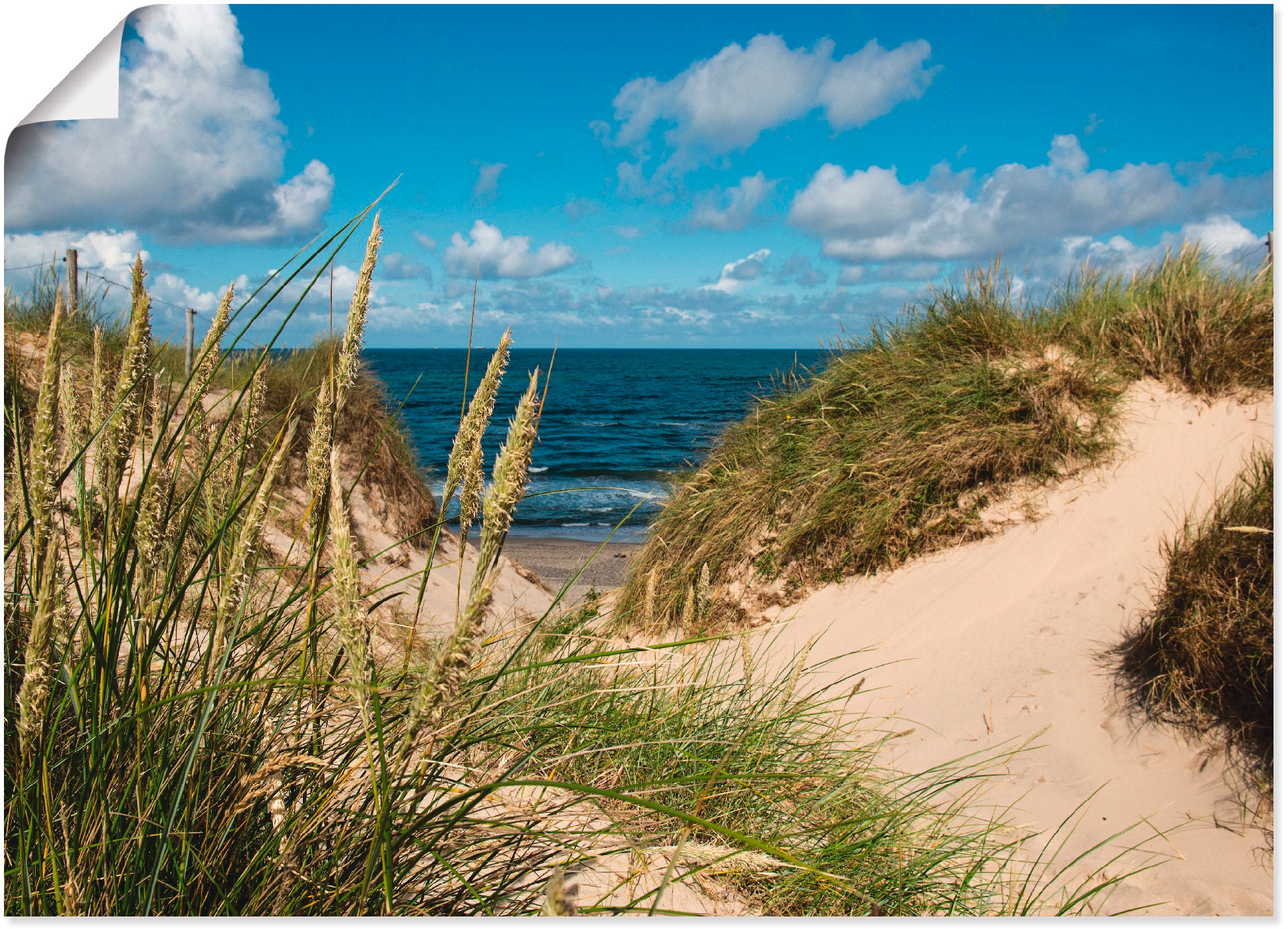 Image of Artland Poster "Strand bei Vesterhav" Strand 1 Stk. tlg. ohne Rahmen