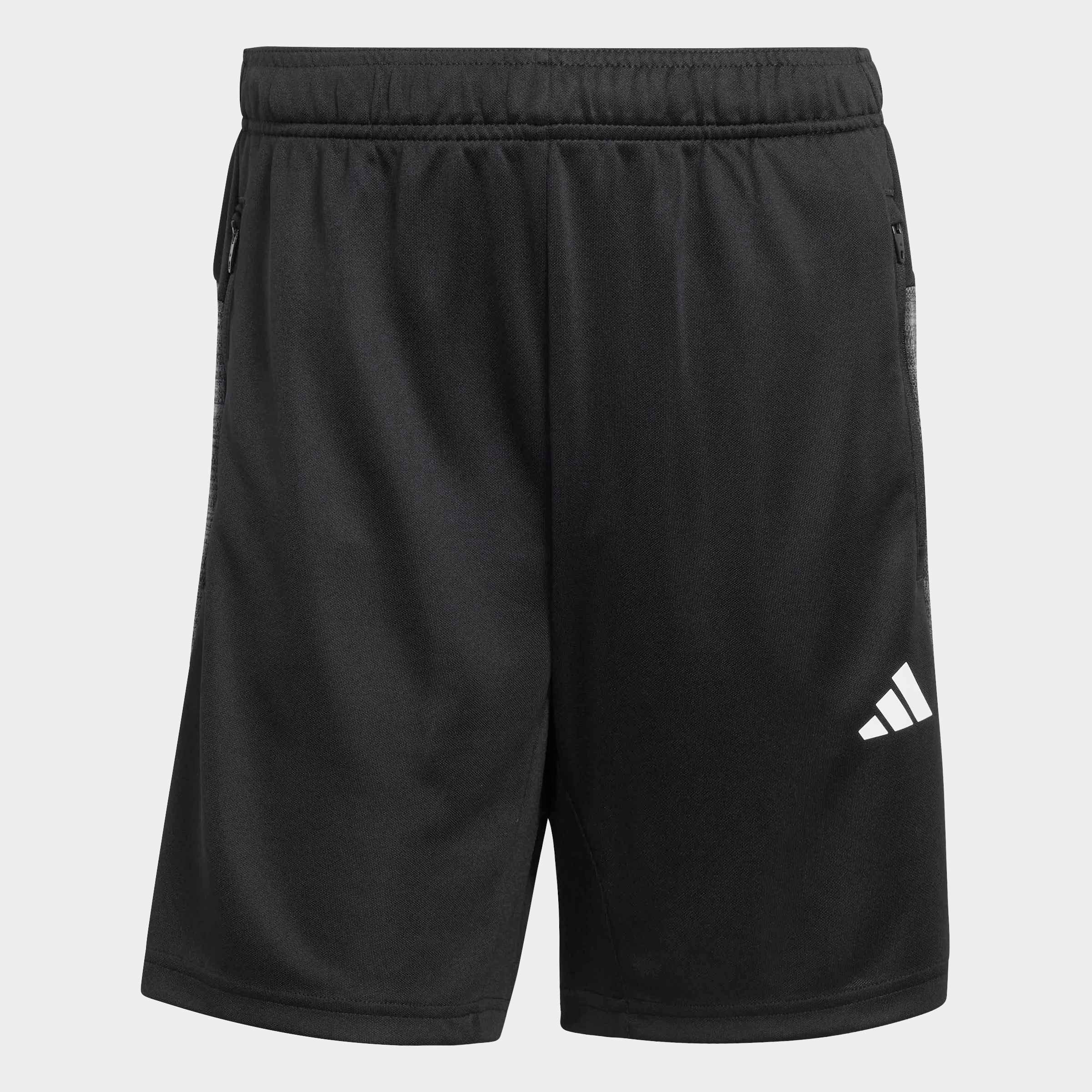 adidas Performance Shorts »WORKOUT ESSENTIALS ALL-SET«