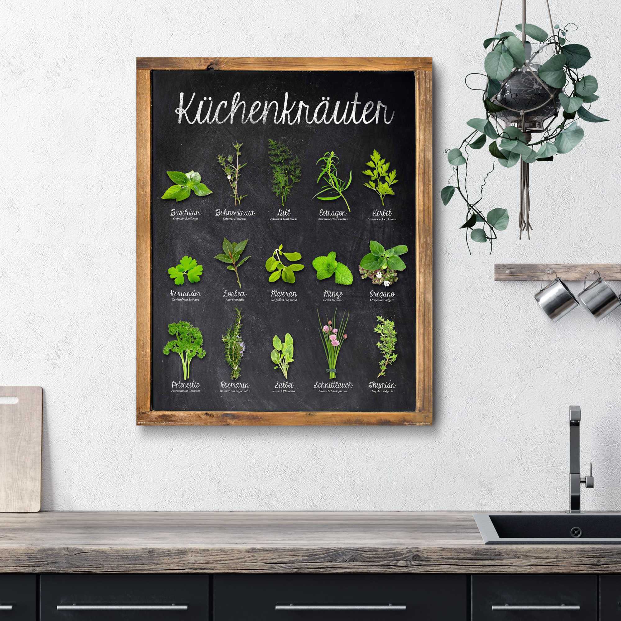 GOODproduct Deco-Panel "Küchenkräuter" 40/50 cm