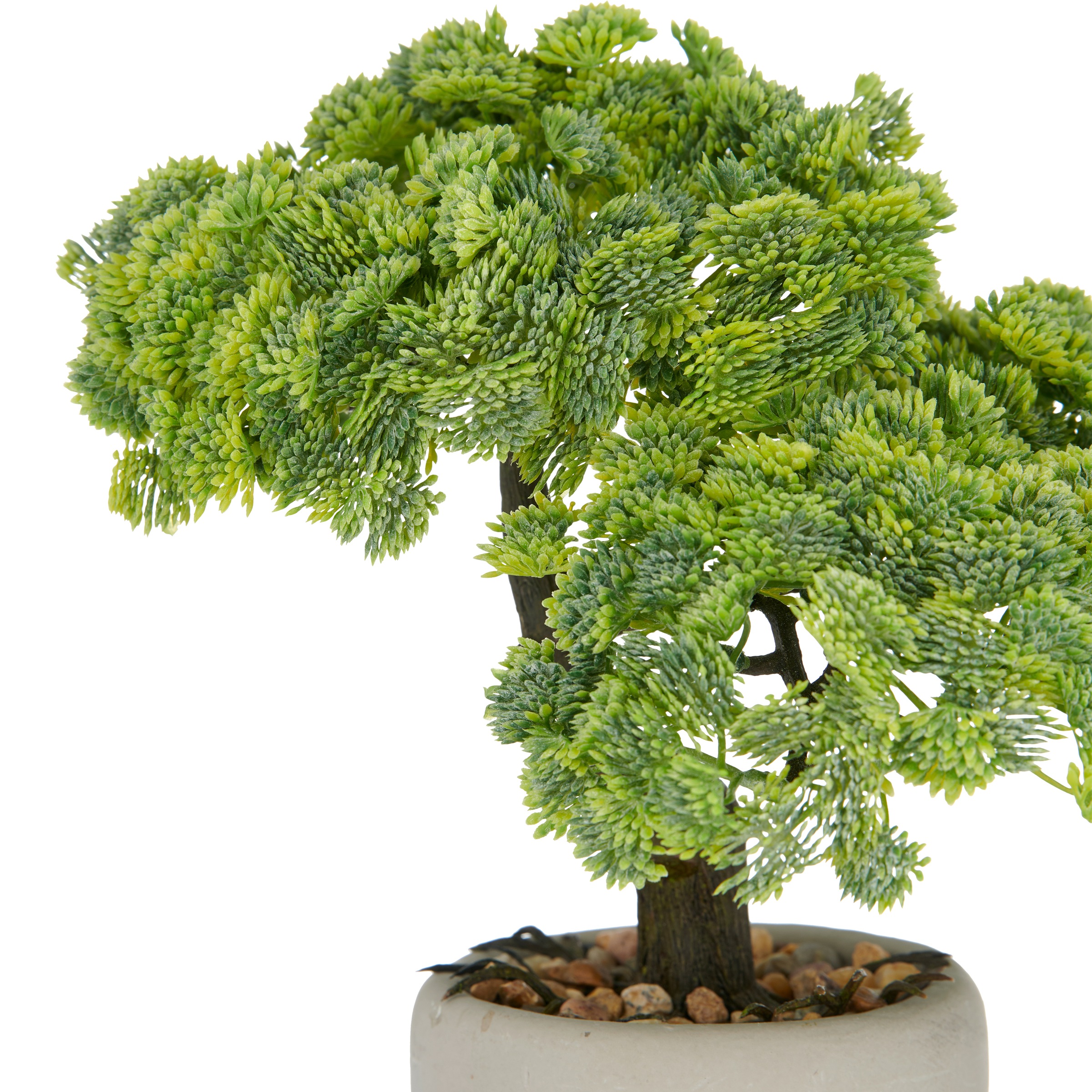 Creativ green Kunstbonsai »Bonsai Sedum multiceps« mit modernem Pflanzgefäss