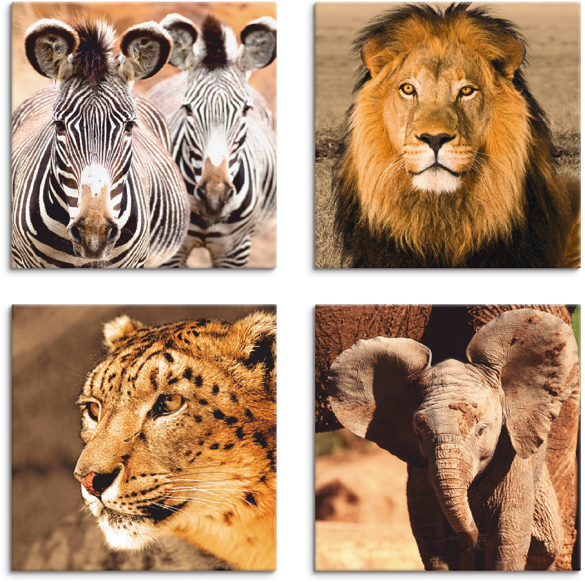 Image of Artland Leinwandbild "Zebras Löwe Schneeleopard Elefanten" Wildtiere 4 Stk. tlg. 4er Set, verschiedene Grössen