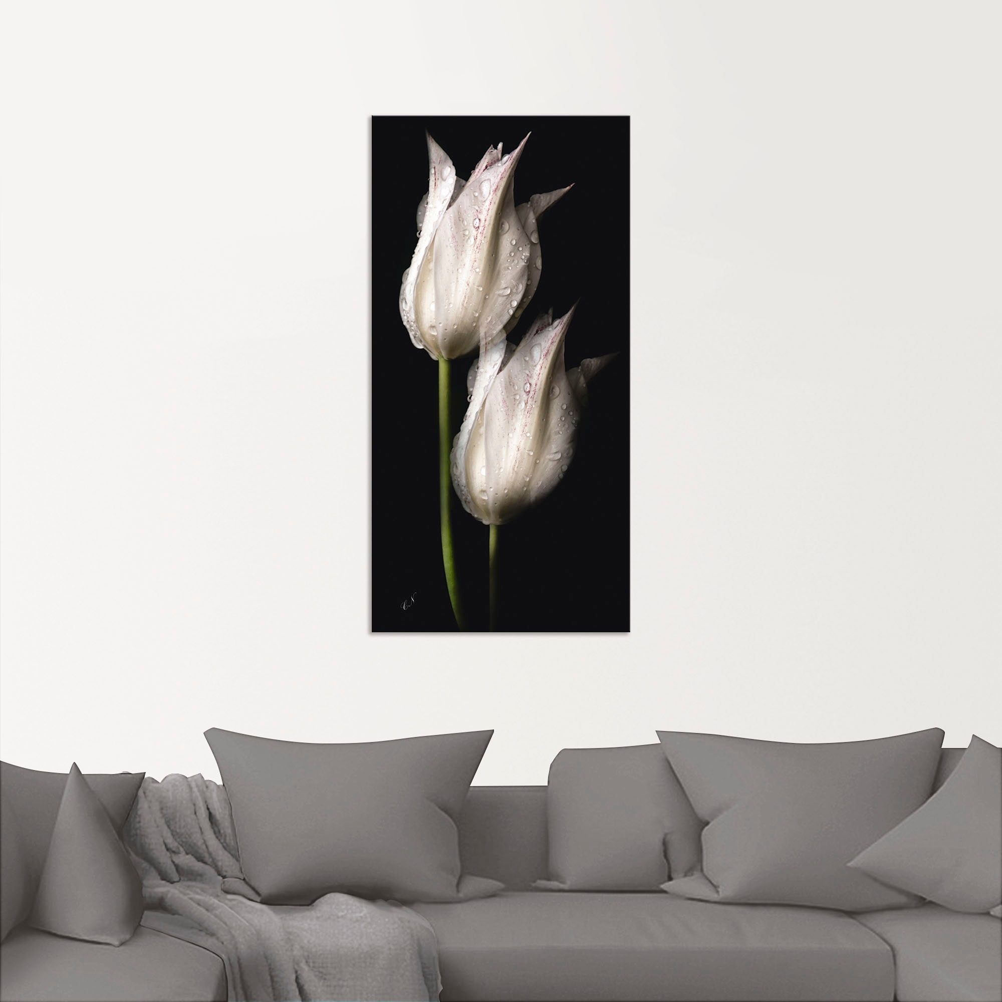 Artland Wandbild »Weisse Tulpen in der Nacht«, Blumenbilder, (1 St.), als Alubild, Outdoorbild, Leinwandbild, Poster, Wandaufkleber