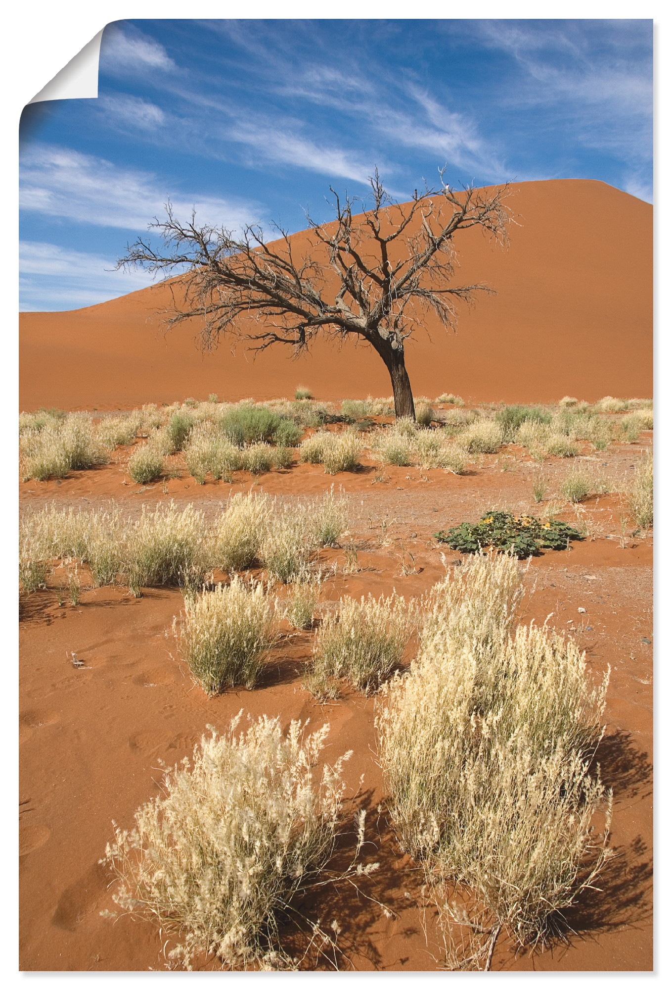 Image of Artland Poster "Namib-Wüste 2" Afrika 1 Stk. tlg. ohne Rahmen