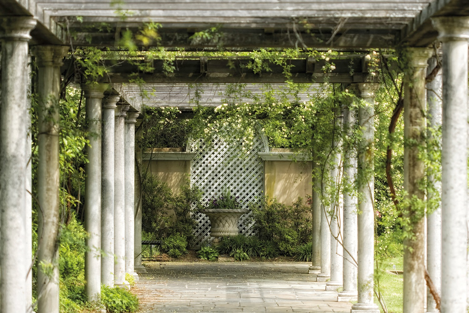 Image of Papermoon Fototapete »Walkway in Garden« bei Ackermann Versand Schweiz