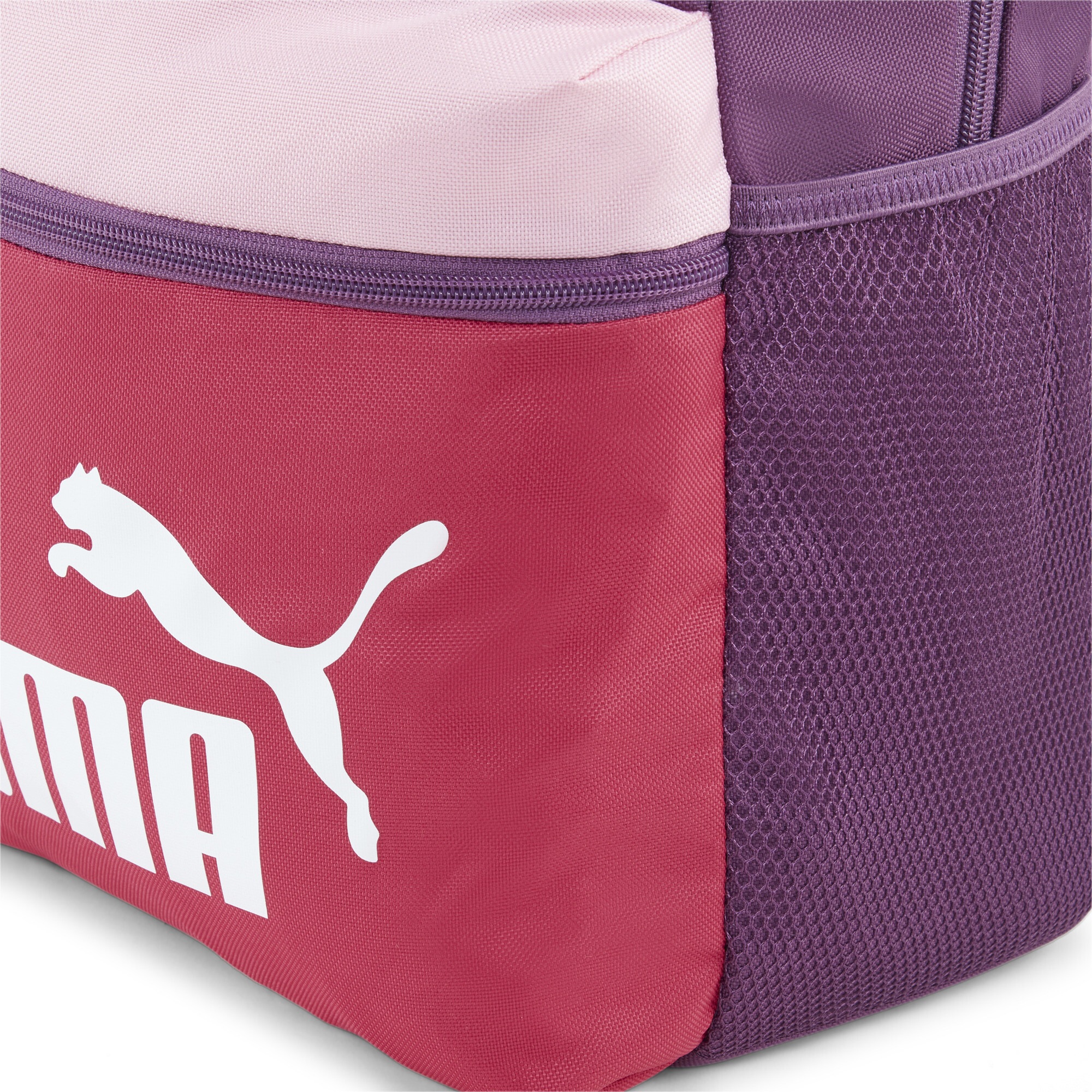 PUMA Rucksack »PHASE BACKPACK COLORBLOCK«