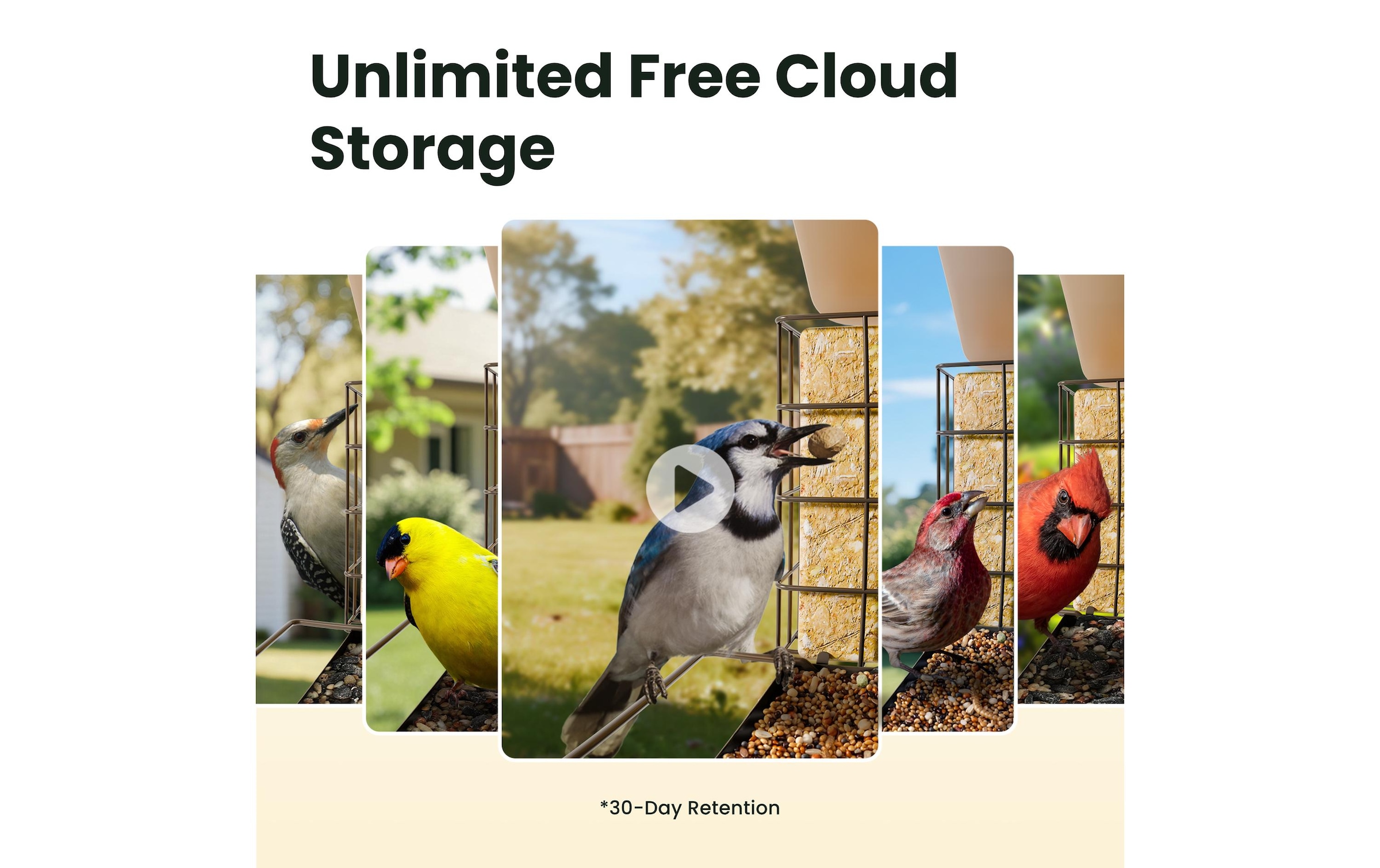 Birdfy Distributeur de nourriture »Metall V 1080PHD mit Kamera«