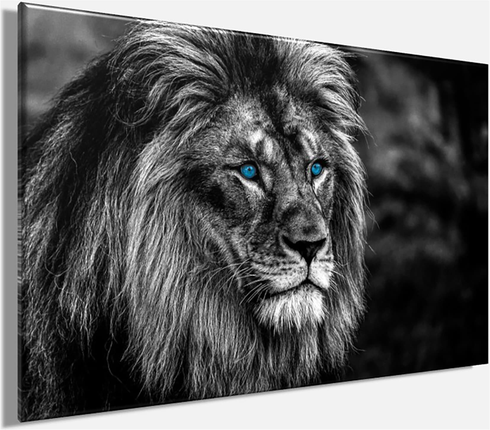 Bönninghoff Tableau sur toile »Wandbild LÖWE 60x90 cm – Leinwandbild Keilrahmen Deko modern« Lion 1 cuis tlg. tendu sur châssis