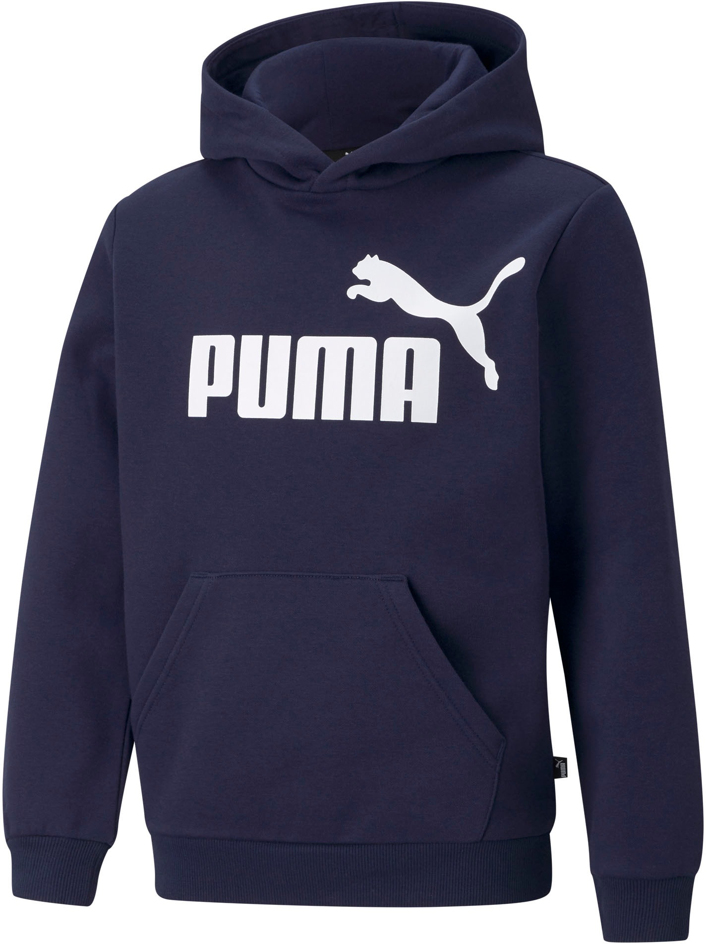 Image of PUMA Kapuzensweatshirt »BIG LOGO HOODIE« bei Ackermann Versand Schweiz