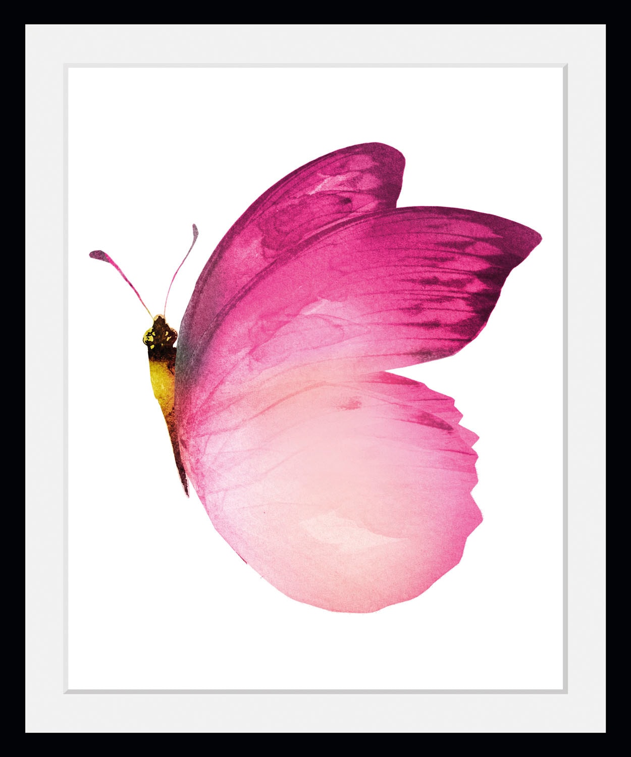 Image of queence Bild "Judy" Insekten Kunst Schmetterlinge 1 Stk. tlg. HD Premium Poster-Druck inkl. Holzrahmen