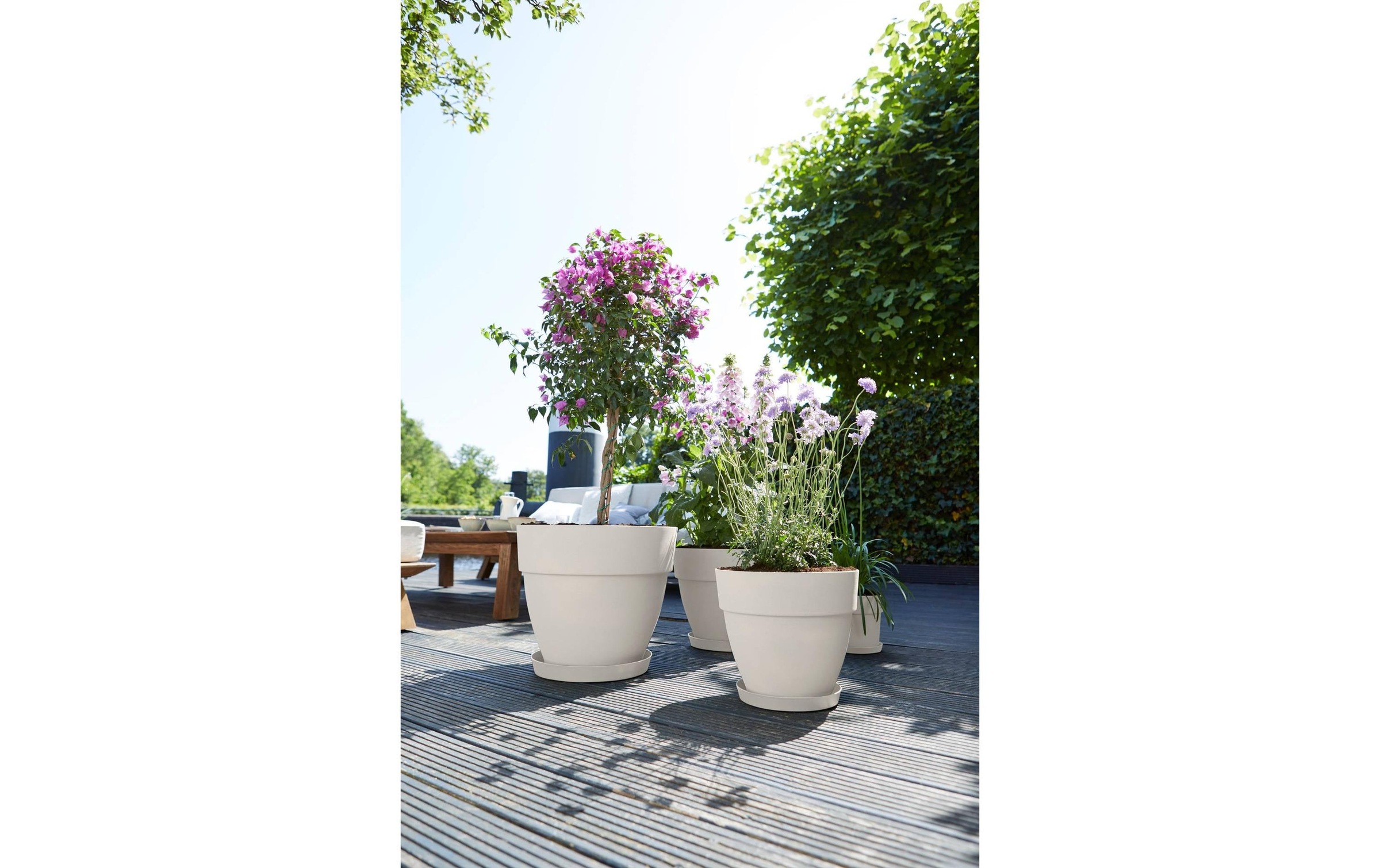 Elho Pot de fleurs »Vibia Campana Rund 35 cm«