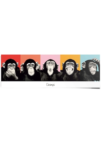 Reinders! Poster »Schimpanse Pop«, (1 St.) kaufen