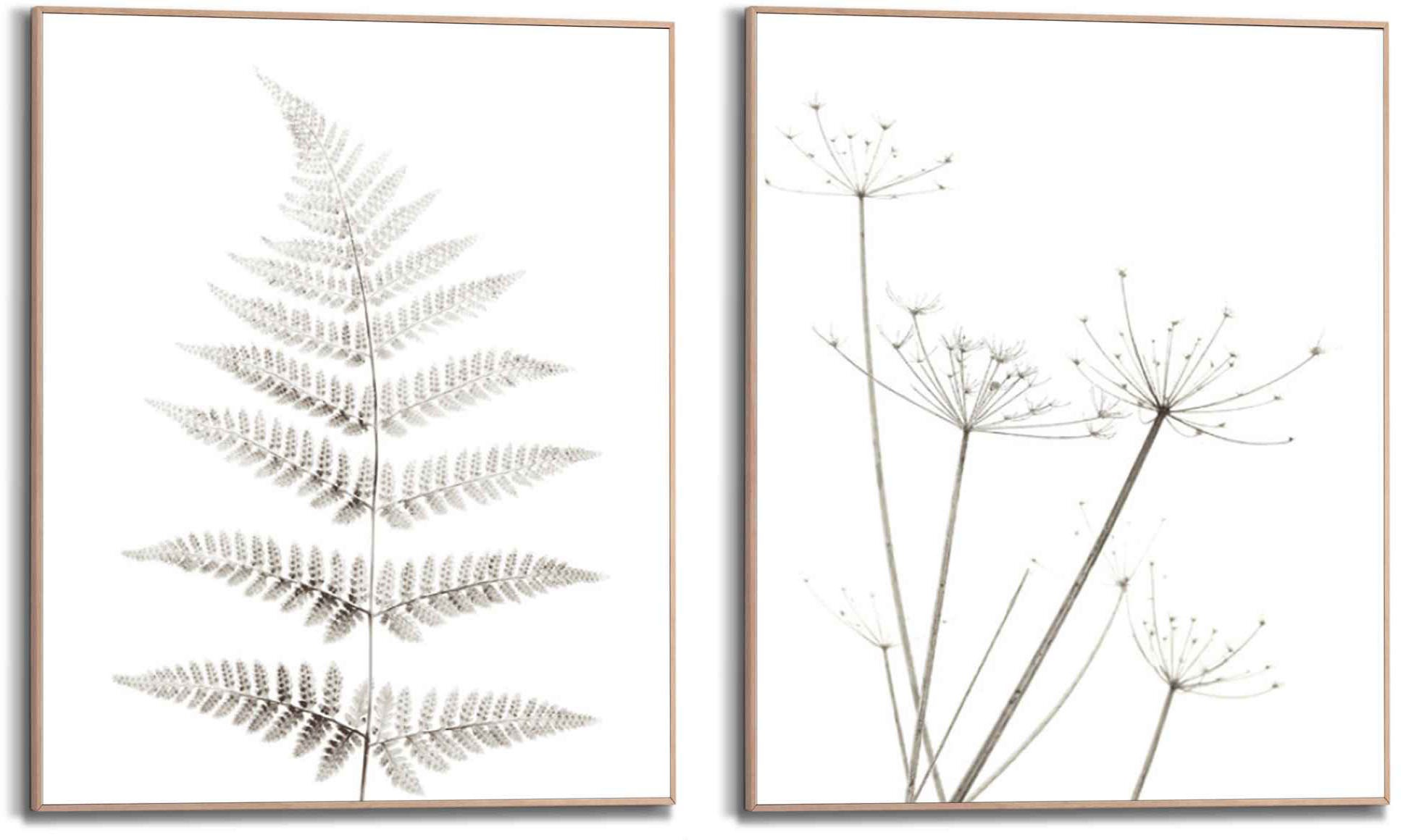 Image of Reinders! Wandbild »Wandbilder Set Farn und Bärenklau Naturmotiv - Blätter - Pflanzen - Trockenblume«, Pflanzen, (2 St.) bei Ackermann Versand Schweiz