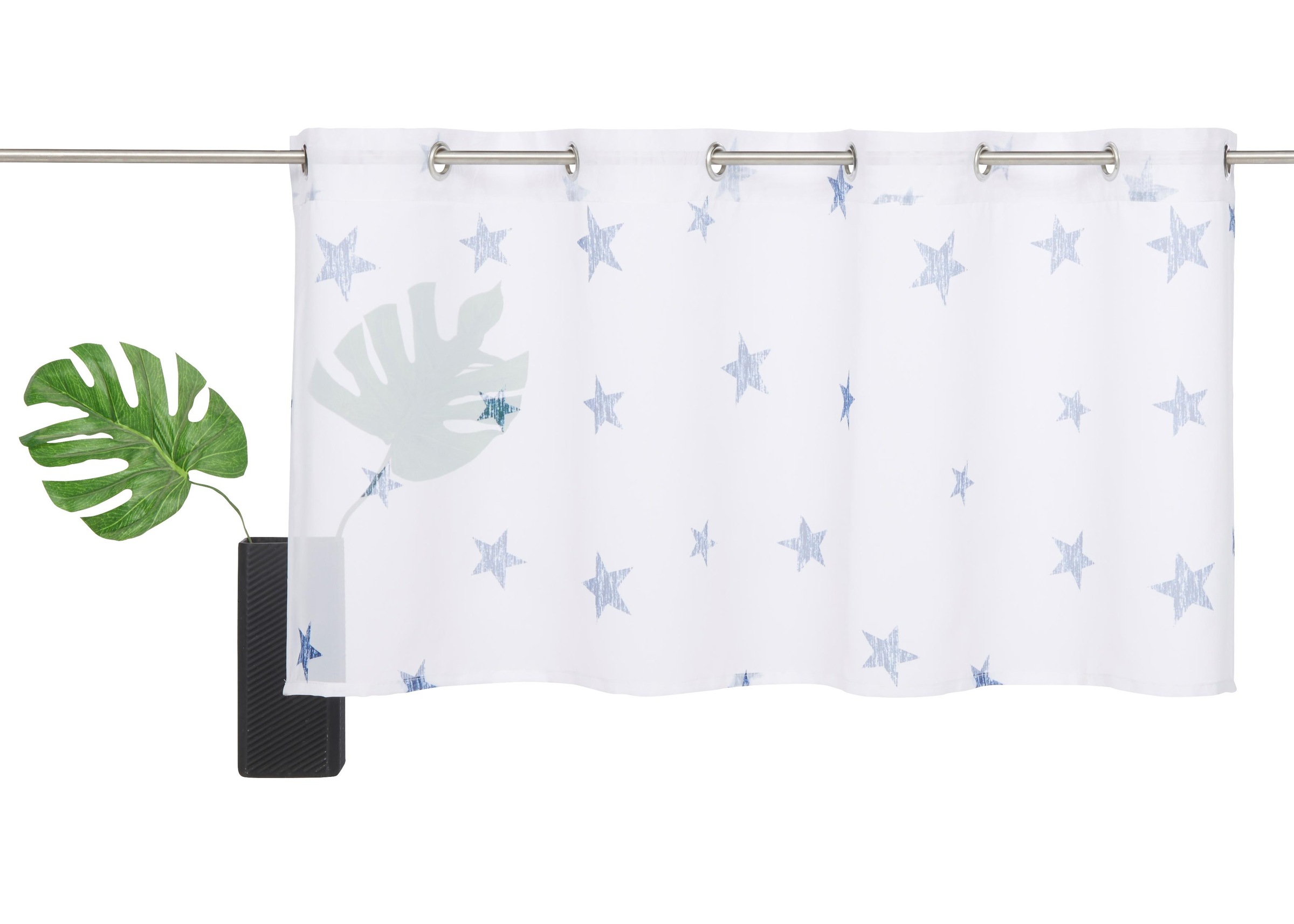 Image of my home Scheibengardine »Stern«, (1 St.), Transparent, Voile, Polyester bei Ackermann Versand Schweiz