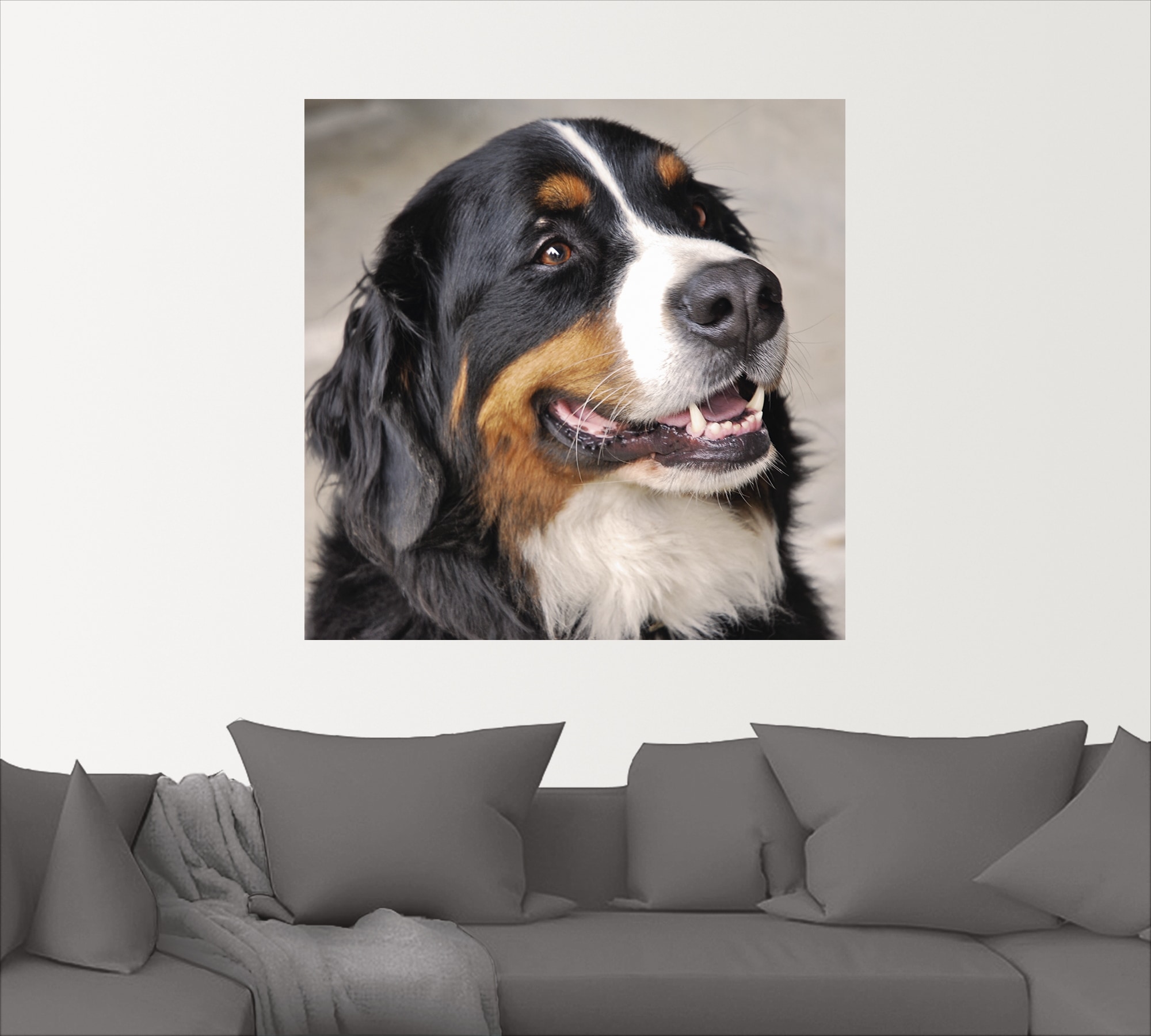 Artland Wandbild »Berner Sennenhund«, Haustiere, (1 St.), als Poster, Wandaufkleber in verschied. Grössen