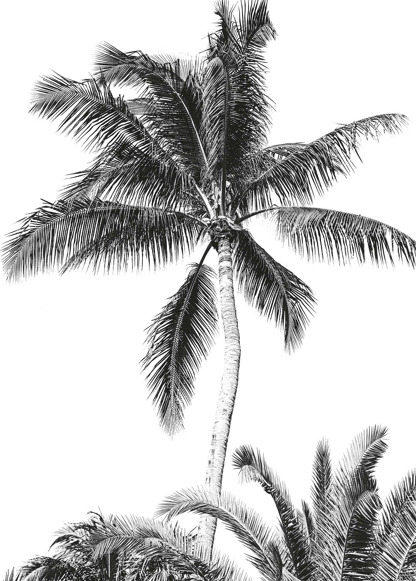 Image of Komar Fototapete »Retro Palm«, bedruckt-Comic-Retro-mehrfarbig, BxH: 200x280 cm bei Ackermann Versand Schweiz