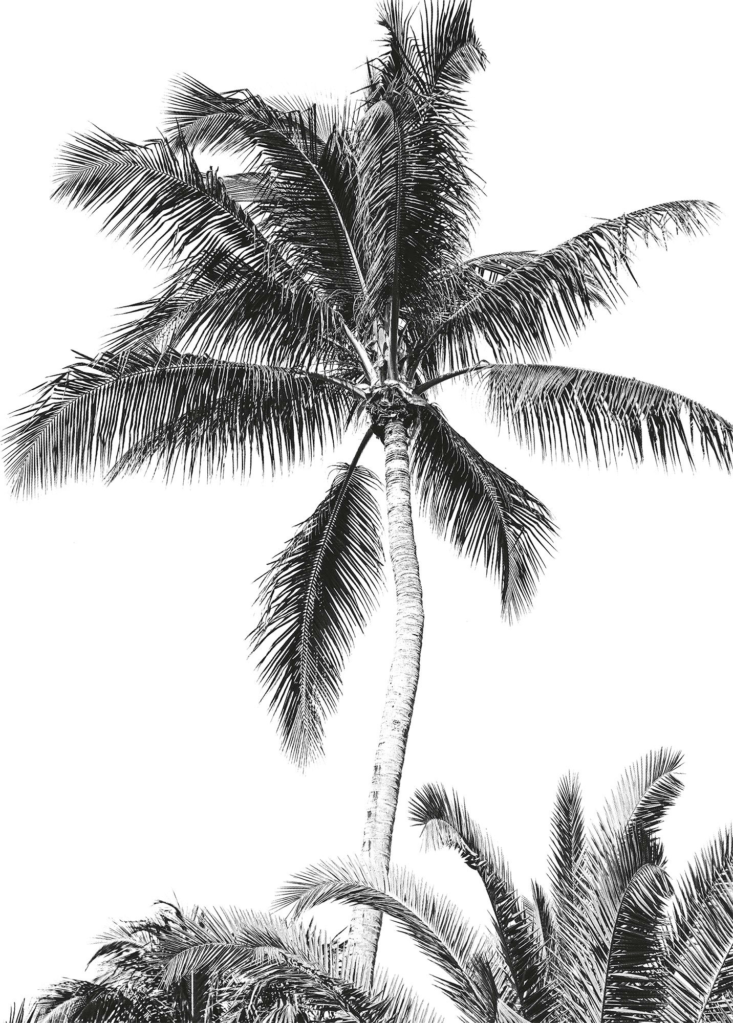 Image of Komar Vliestapete "Digitaldruck Vlies - Retro Palm - Grösse 200 x 280 cm" bedruckt glatt Kinderzimmer