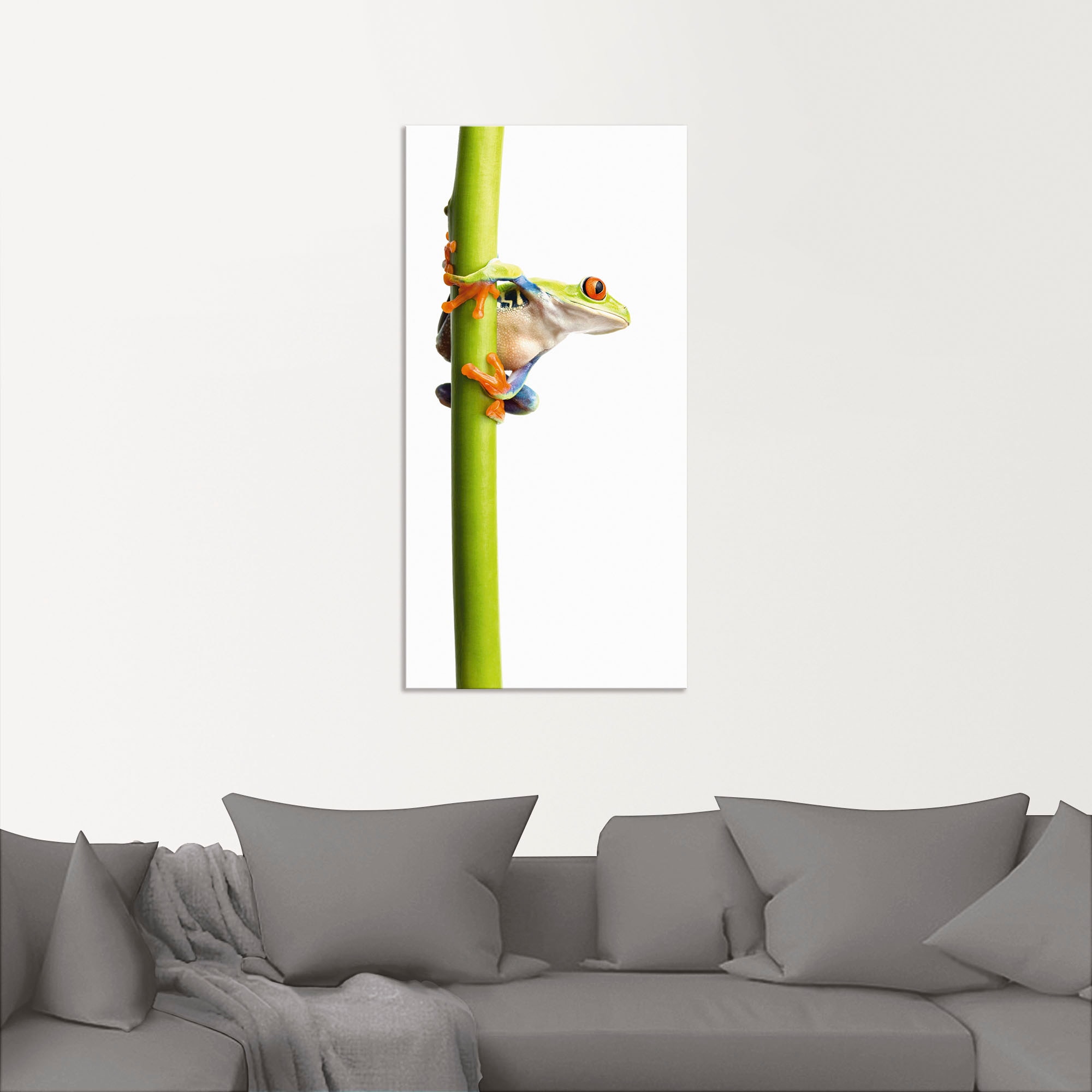 Artland Wandbild »Frosch umfasst einen Pflanzenstengel«, Wassertiere, (1 St.), als Alubild, Outdoorbild, Leinwandbild in verschied. Grössen