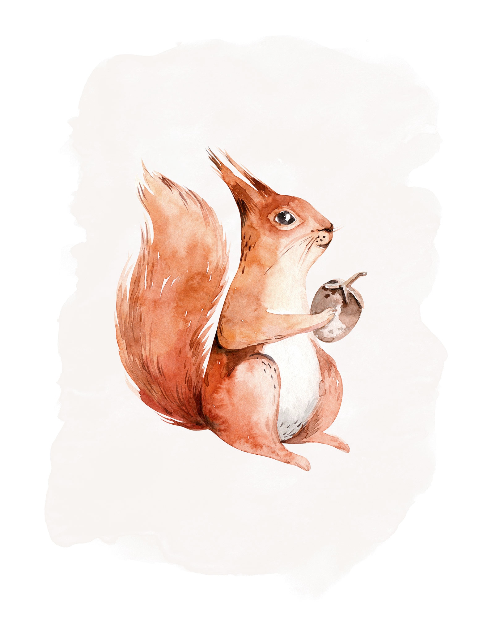 Image of Komar Bild "Hungry Squirrel" Natur 1 Stk. tlg. Wandbild zur Dekoration - ohne Rahmen