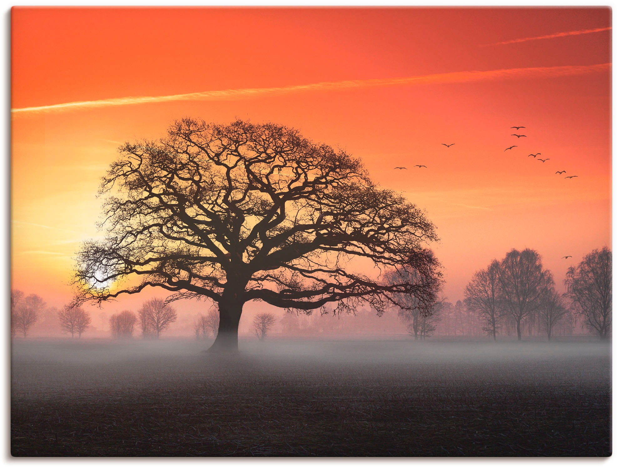 Image of Artland Wandbild »Filigran und mehr...«, Bäume, (1 St.), in vielen Grössen & Produktarten -Leinwandbild, Poster, Wandaufkleber / Wandtattoo auch für Badezimmer geeignet bei Ackermann Versand Schweiz