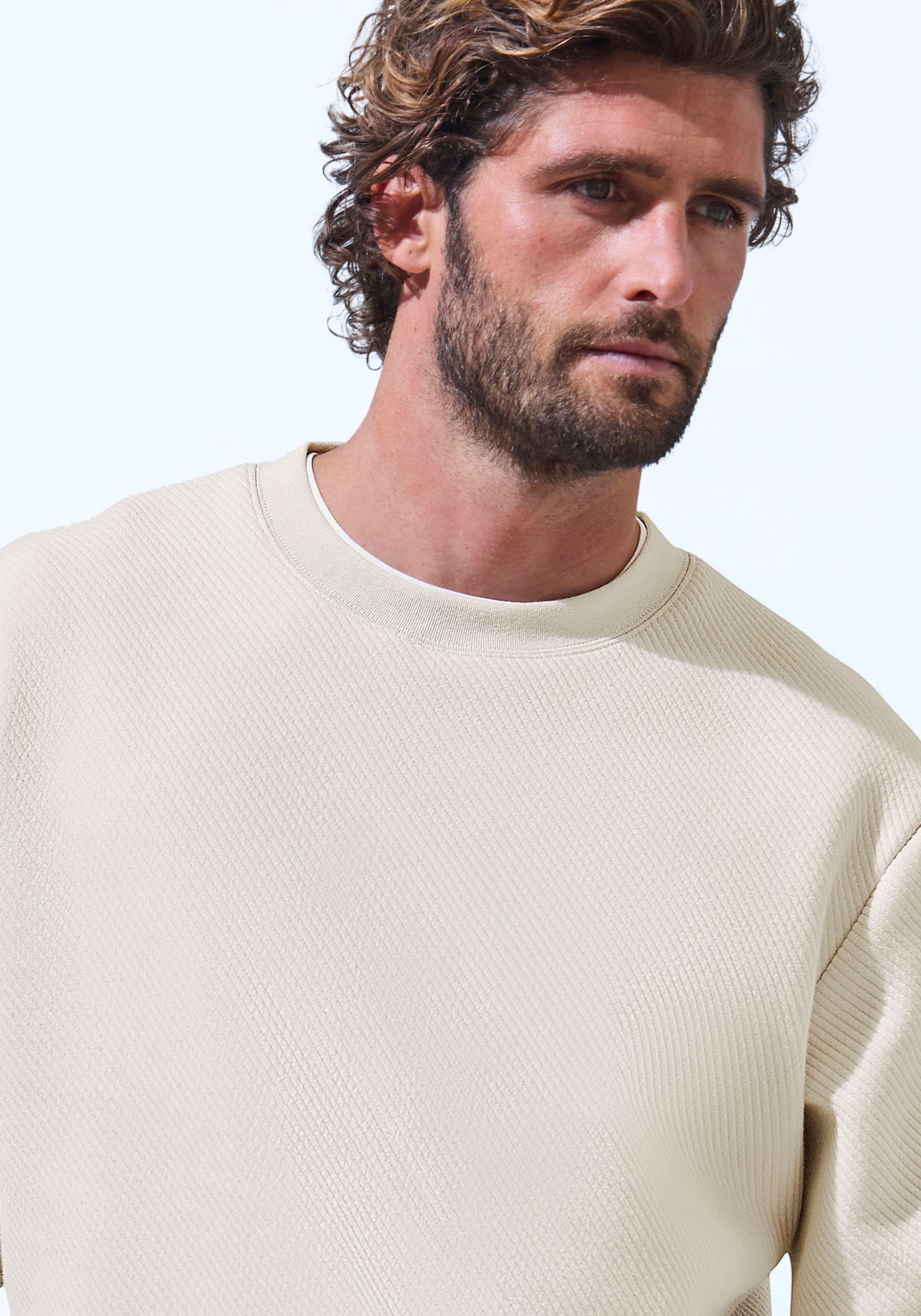 John Devin Sweatshirt, Langarm, Sweatshirt mit Struktur, Rundhals, Baumwollmischung