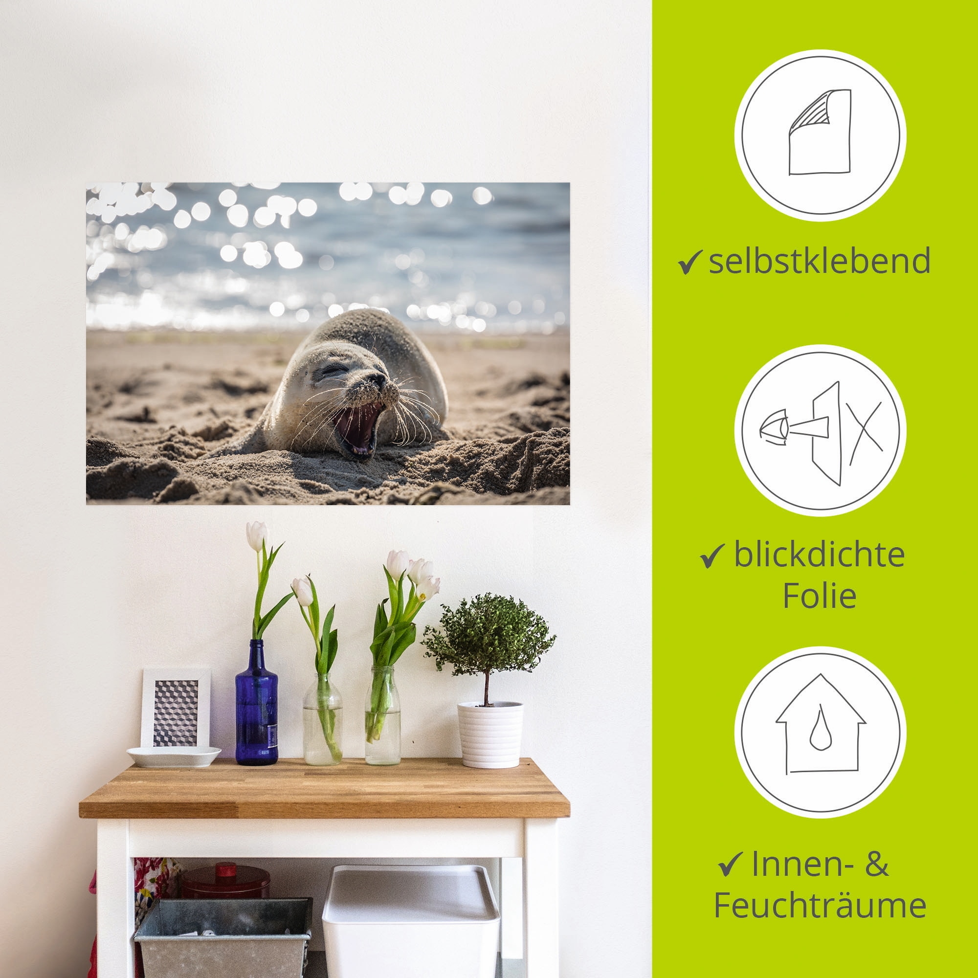 Artland Wandbild »Baby-Robbe am Strand von List, Sylt«, Robben, (1 St.), als Poster, Wandaufkleber in verschied. Grössen