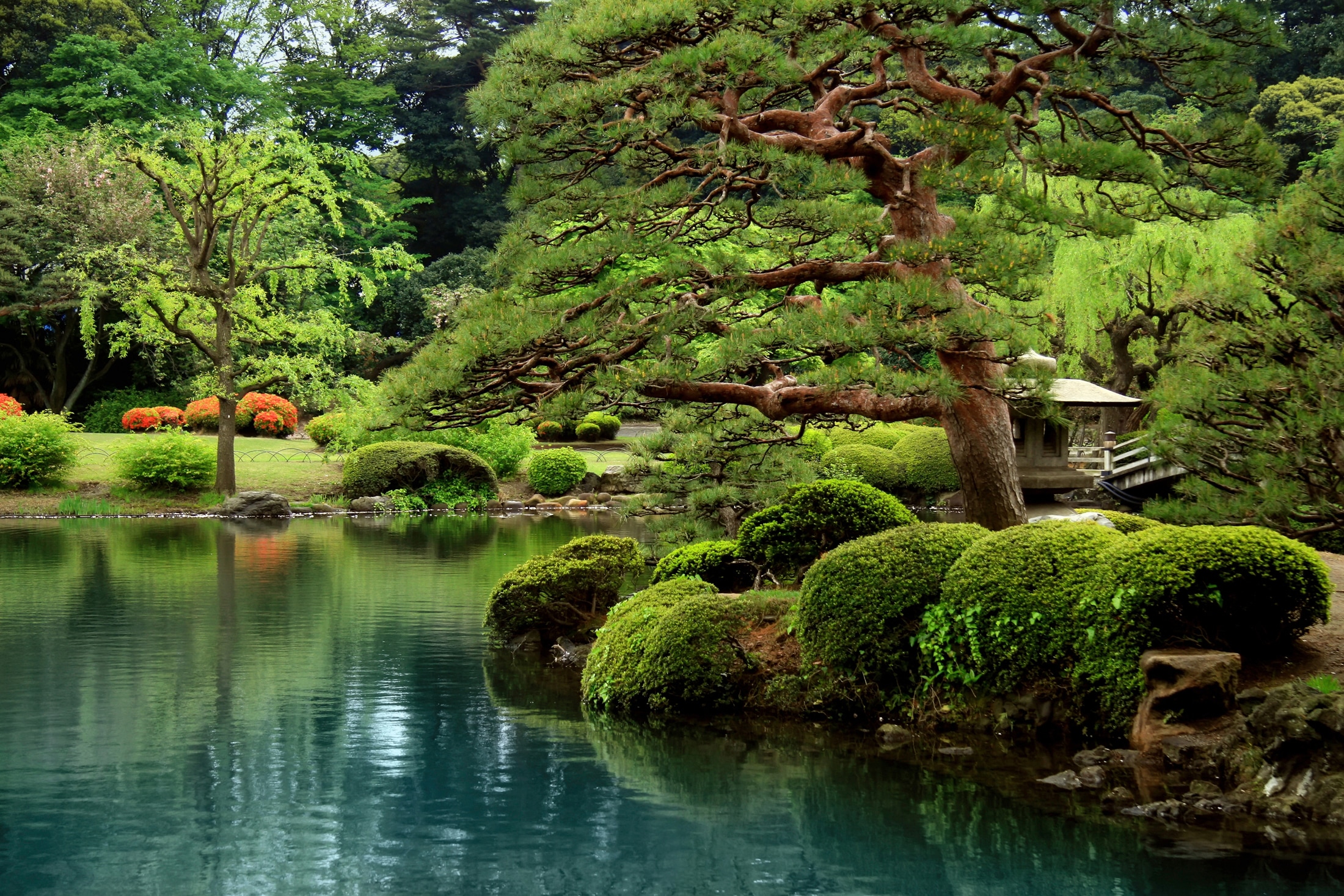 Fototapete »GARTEN-ZEEN SEE BONZAI BÄUME BLUMEN PFLANZEN PARK GRÜN«