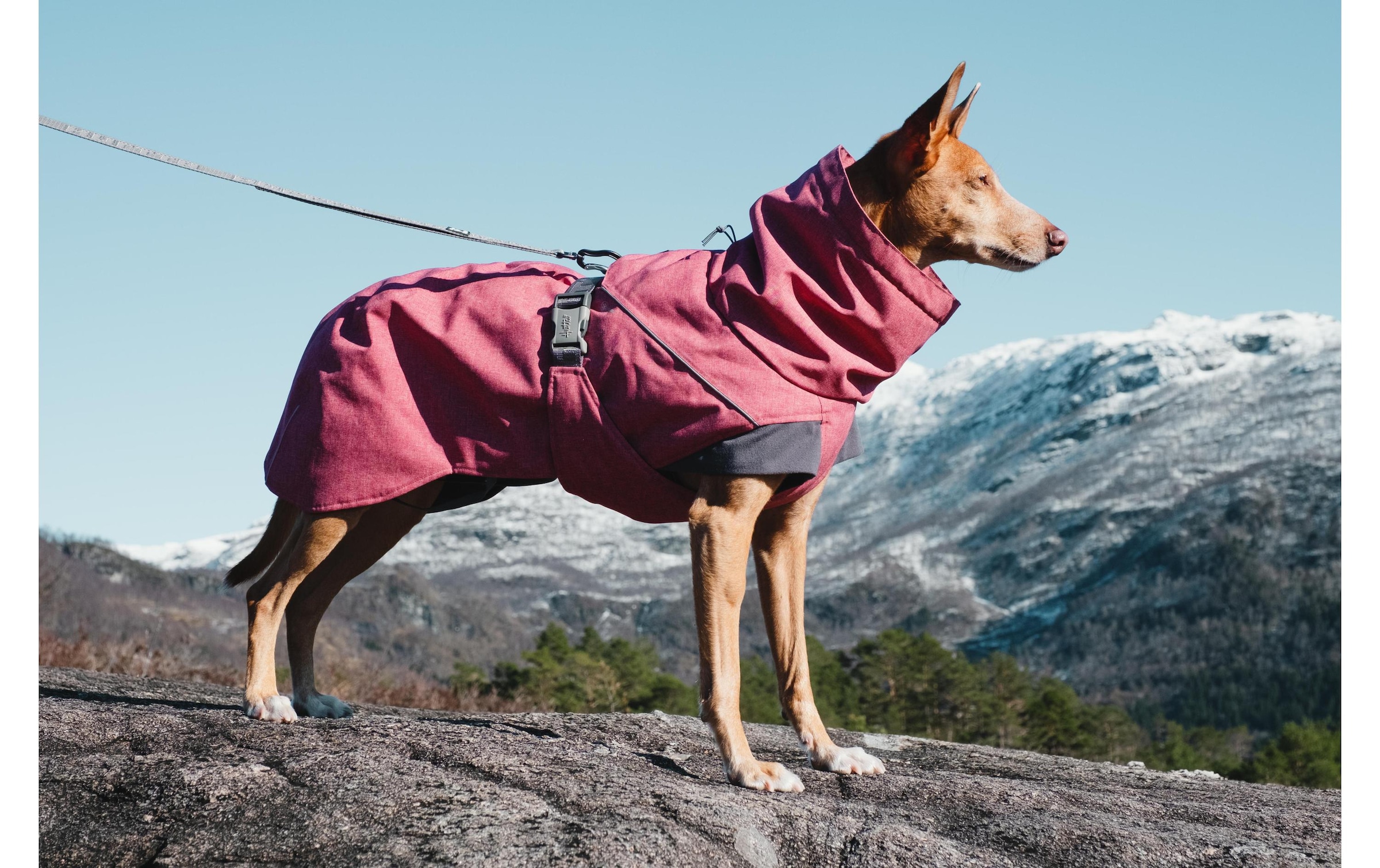 HURTTA Hunderegenmantel »Expedition Park« Polyester