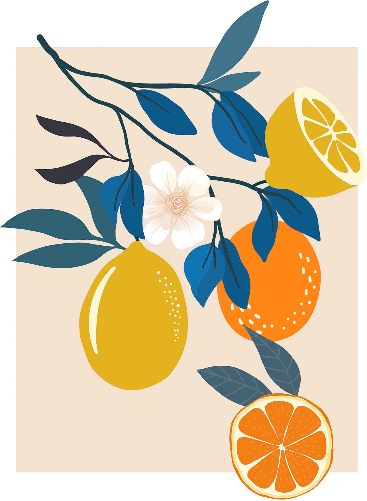 Image of Komar Bild "Illustration Finest Fruits" Natur 1 Stk. tlg. Wandbild zur Dekoration - ohne Rahmen