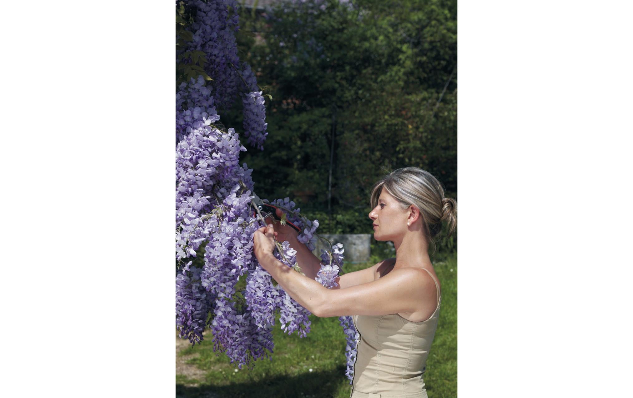 FELCO Gartenschere »160 L«