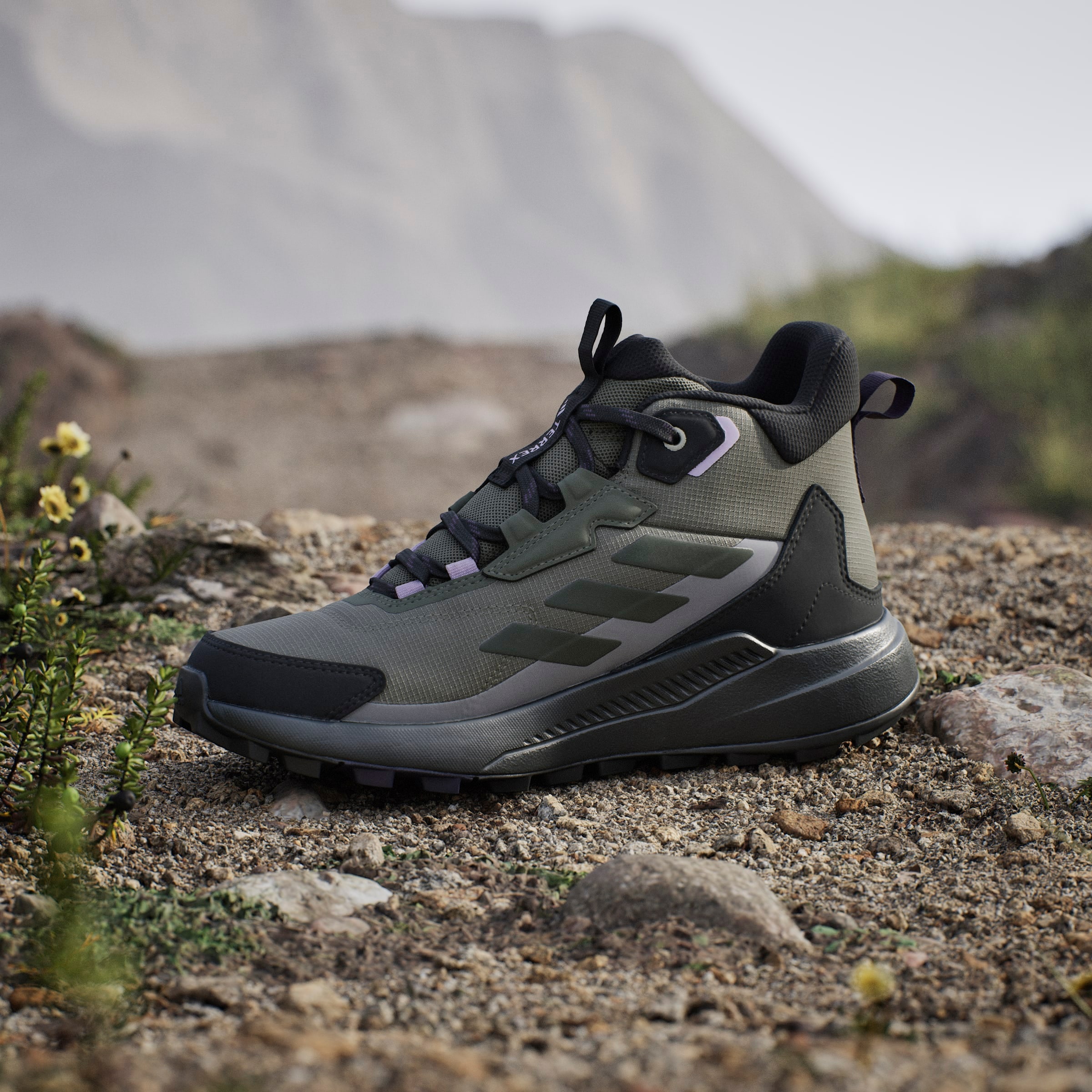 adidas TERREX Chaussure de randonnée »TERREX ANYLANDER MID RAIN.RDY«  wasserdicht