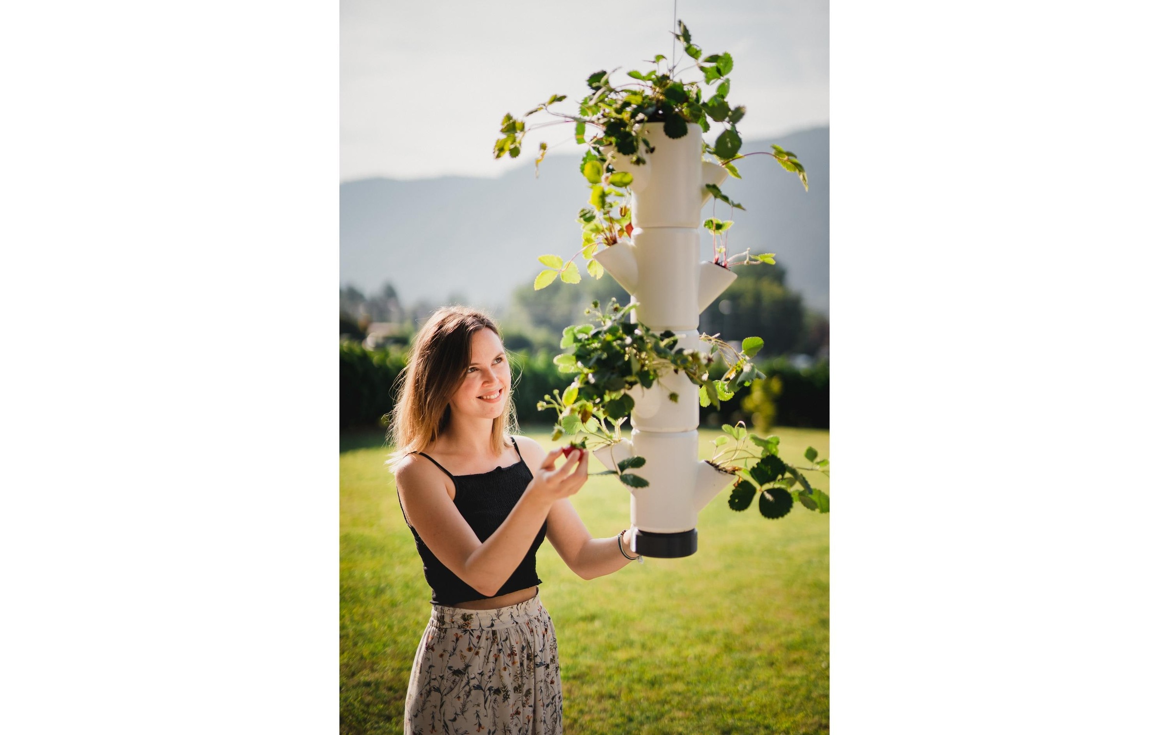 Gusta Garden Anzuchttopf »STRAWBERRY hanging anthrazit«