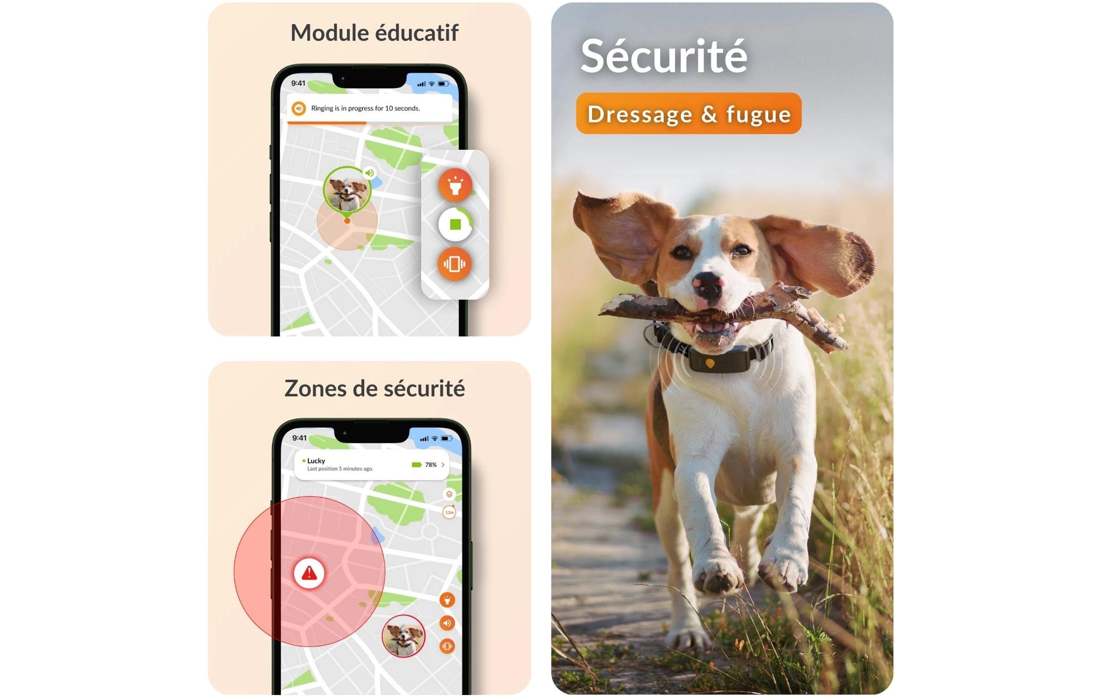   traceur GPS pour chiens »Weenect für Hunde XT mit Halsband«