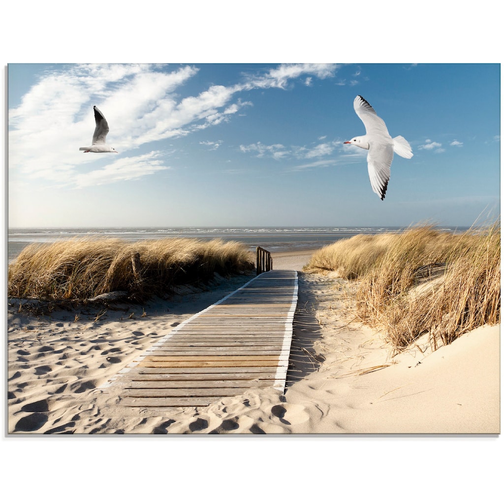 Artland Glasbild »Nordseestrand auf Langeoog mit Möwen«, Strand, (1 St.)