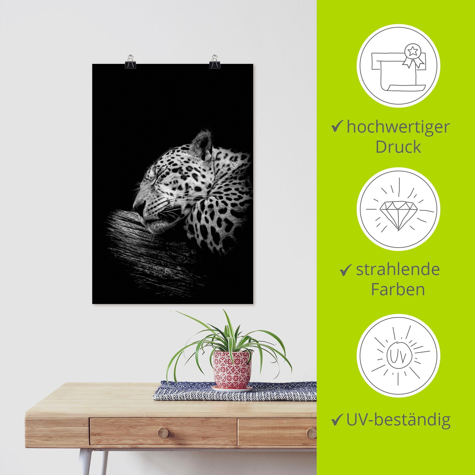 Artland Fresque murale »Der schlafende Jaguar« 1 cuis tlg. als Alubild, Poster in verschied. Grössen